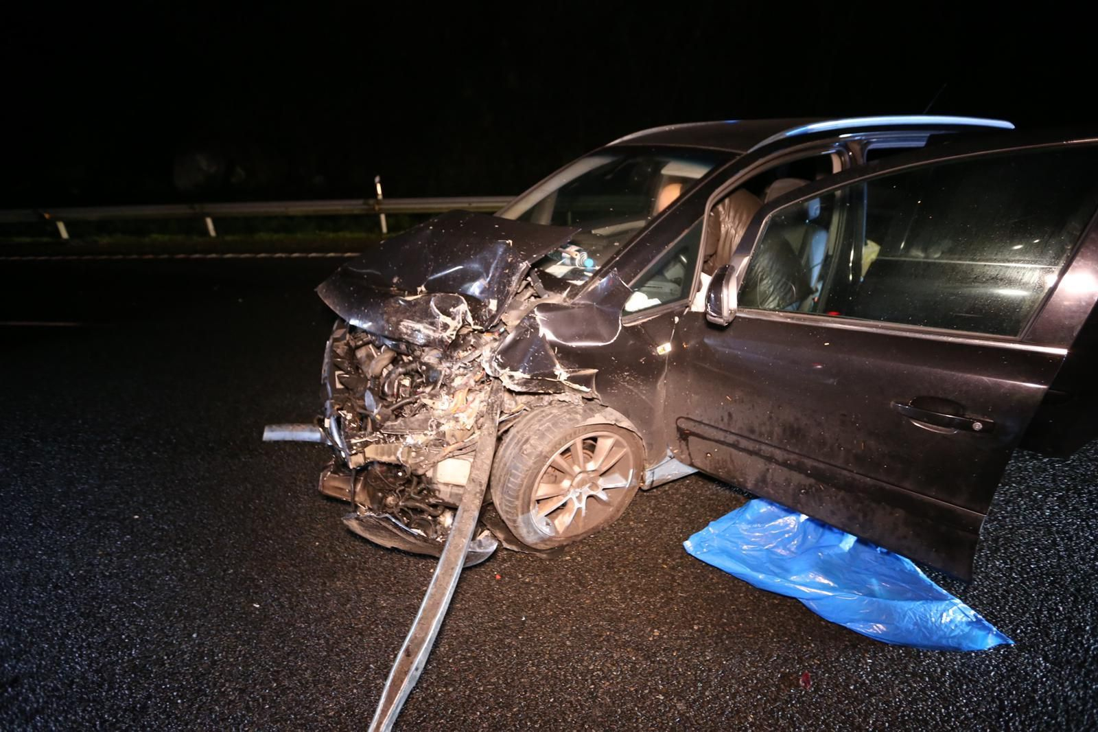 Dos jabalíes irrumpen en la VG20 en Vigo y provocan un aparatoso accidente de tráfico // Alberte