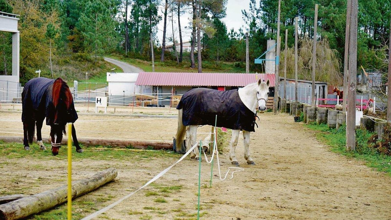 Escuela de equitación