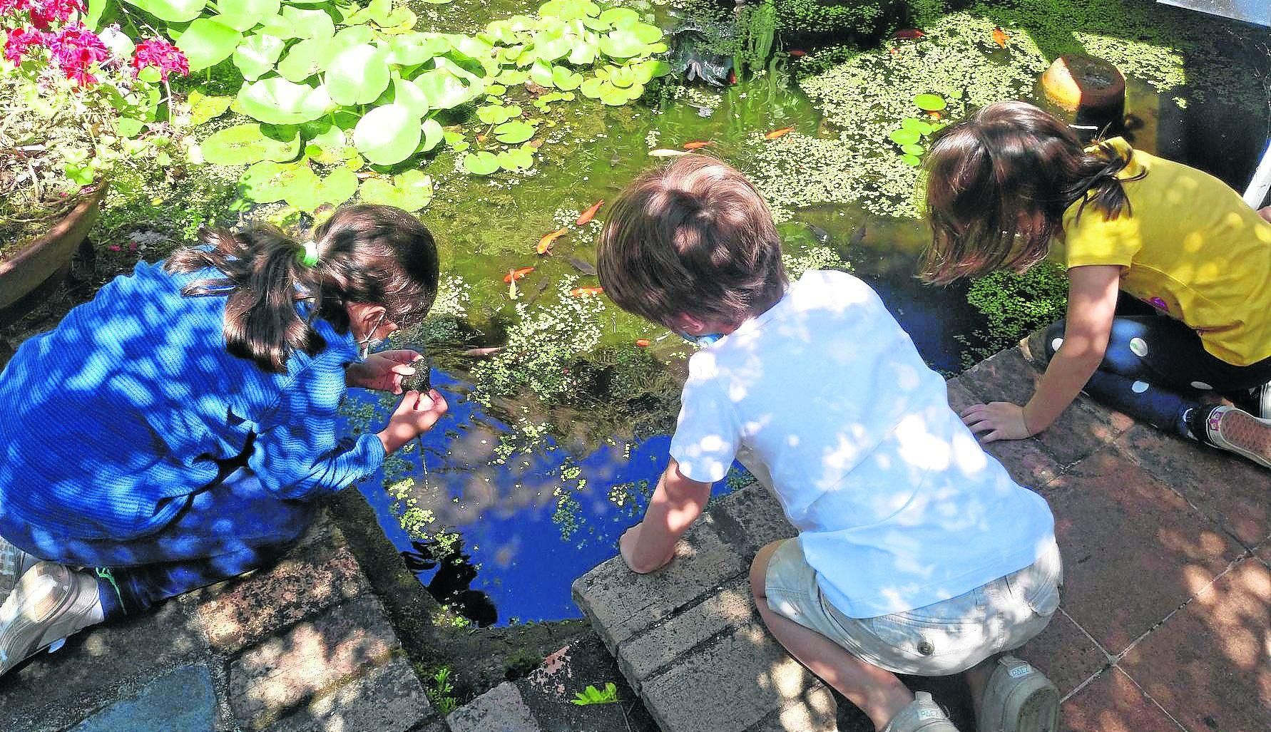 El campamento de verano en la naturaleza de la Fundación Sales permite a los niños descubrir sus jardines