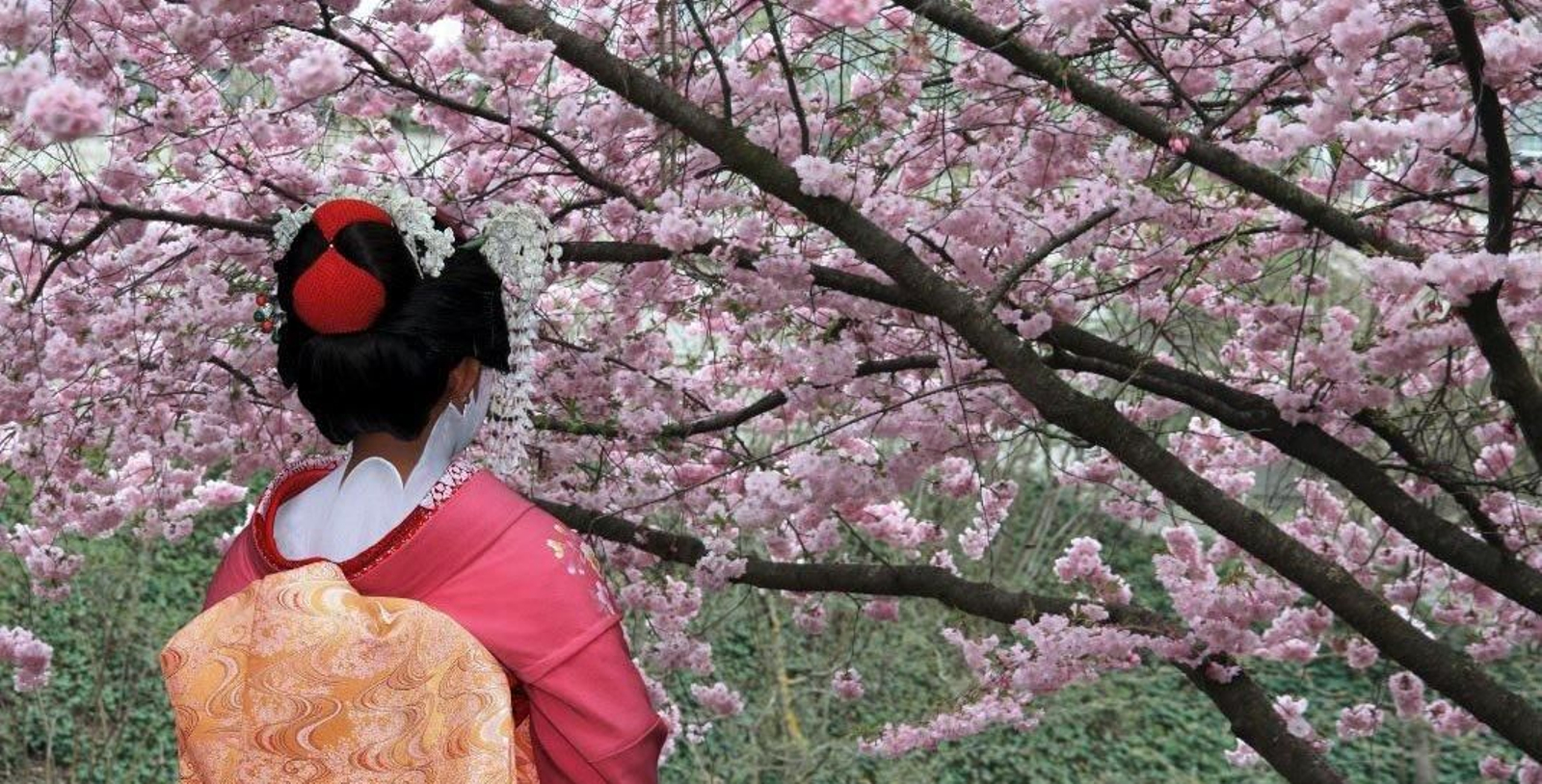 Japon-UKY_00100_Geisha_Sakura_001_LOW