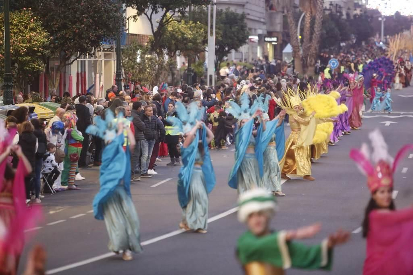 Desfile del Entroido en Vigo 181