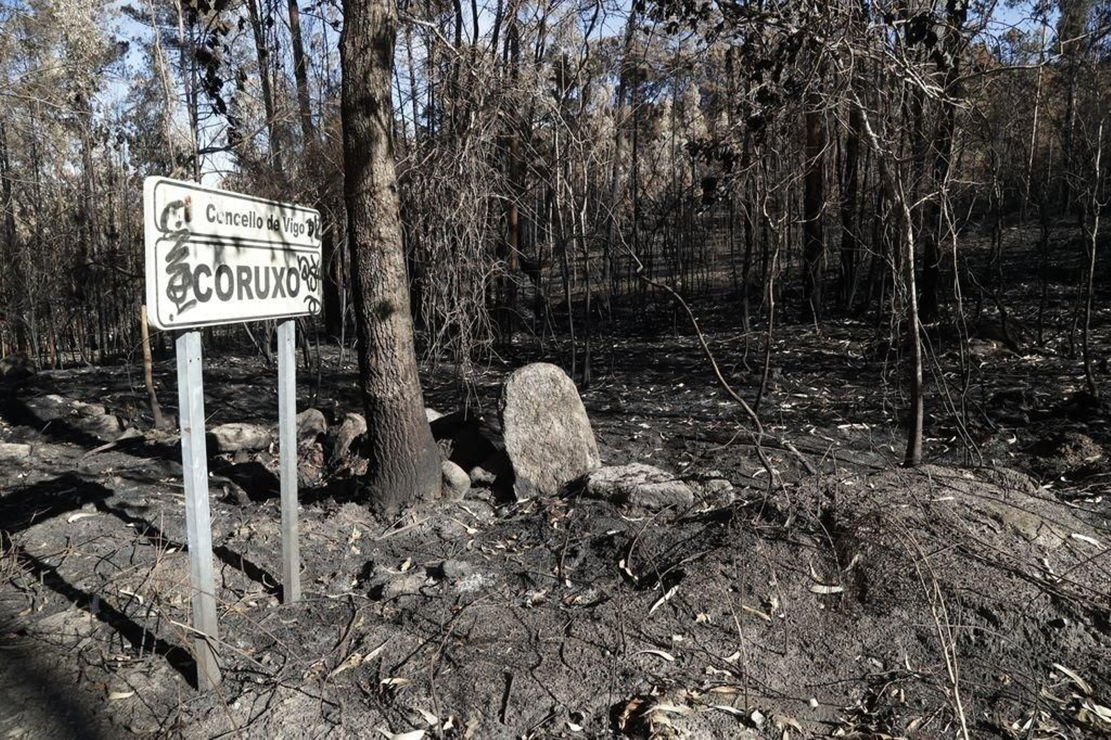 Las  "zonas cero" de los incendios en Vigo y su
área, un mes después