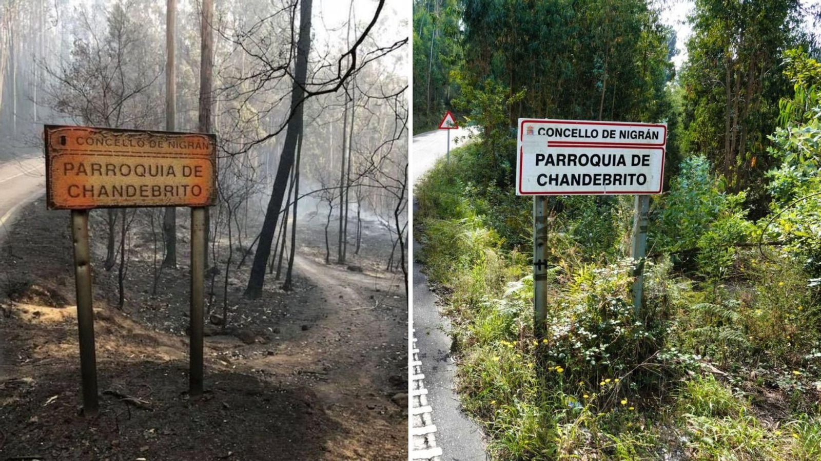 Este fue el punto donde más ardió el monte el 15 de octubre de 2017, entre Fragoselo y Chandebrito, hace seis años, con la imagen icónica del cartel chamuscado, así como los árboles quemados.