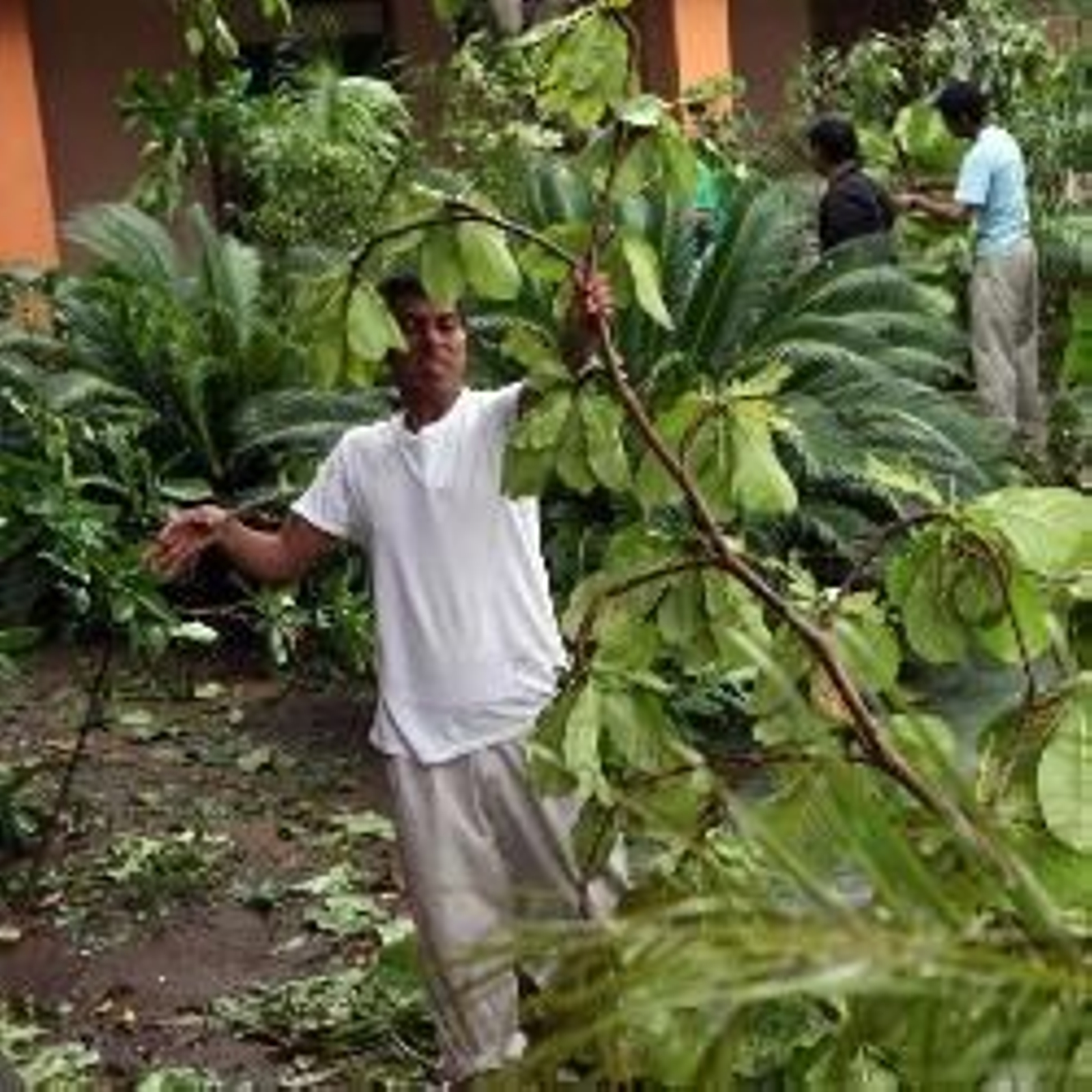 Daños causados por el paso del huracán 'Lorenzo'