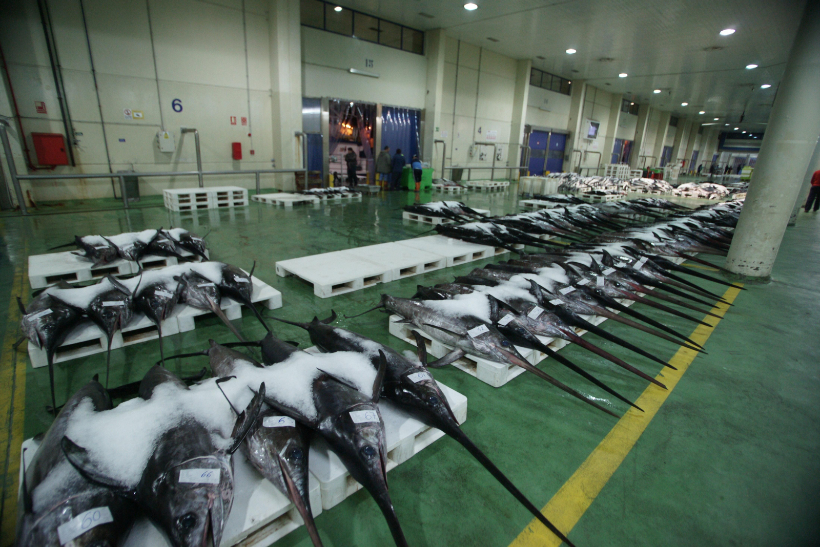 La lonja del Berbés