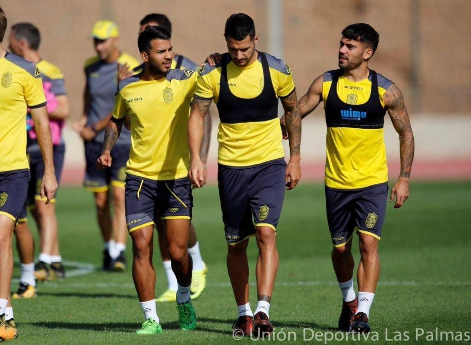 Los jugadores canarios forman la base del proyecto que retornó a Primera y ahora trata de consolidarse.