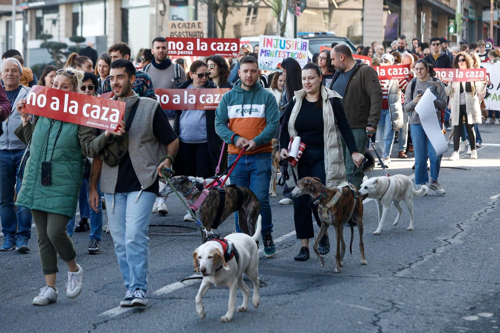 Manifestación en Vigo por los derechos de los animales.