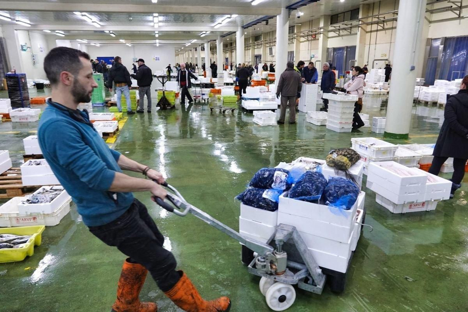 Trabajadores del puerto pesquero en el interior de la lonja a las siete de la madrugada.
