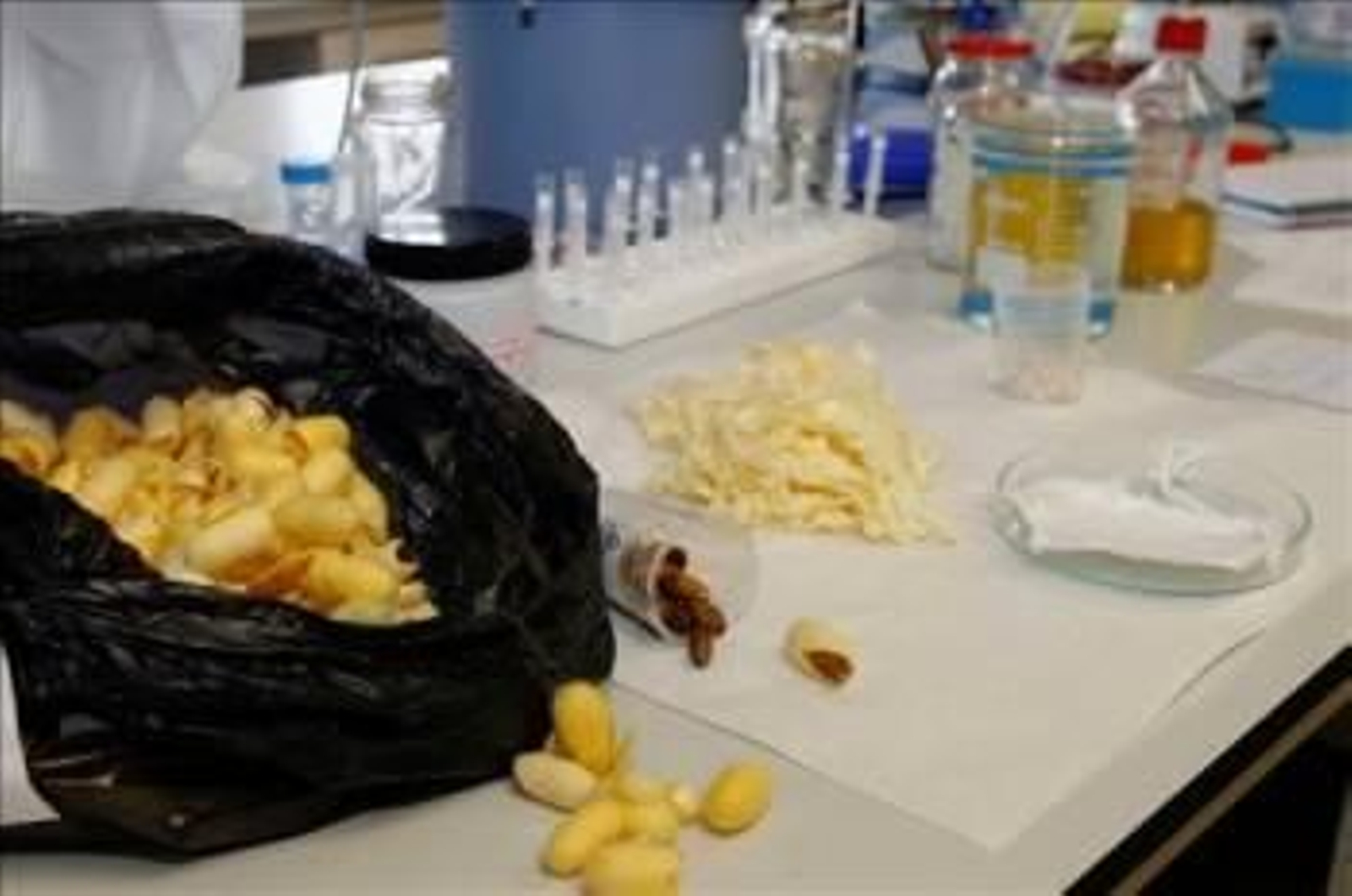 Imagen del laboratorio de investigación.