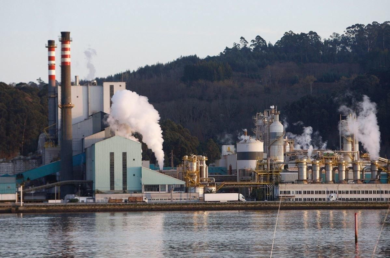 Instalaciones de la compañía Ence en Pontevedra.