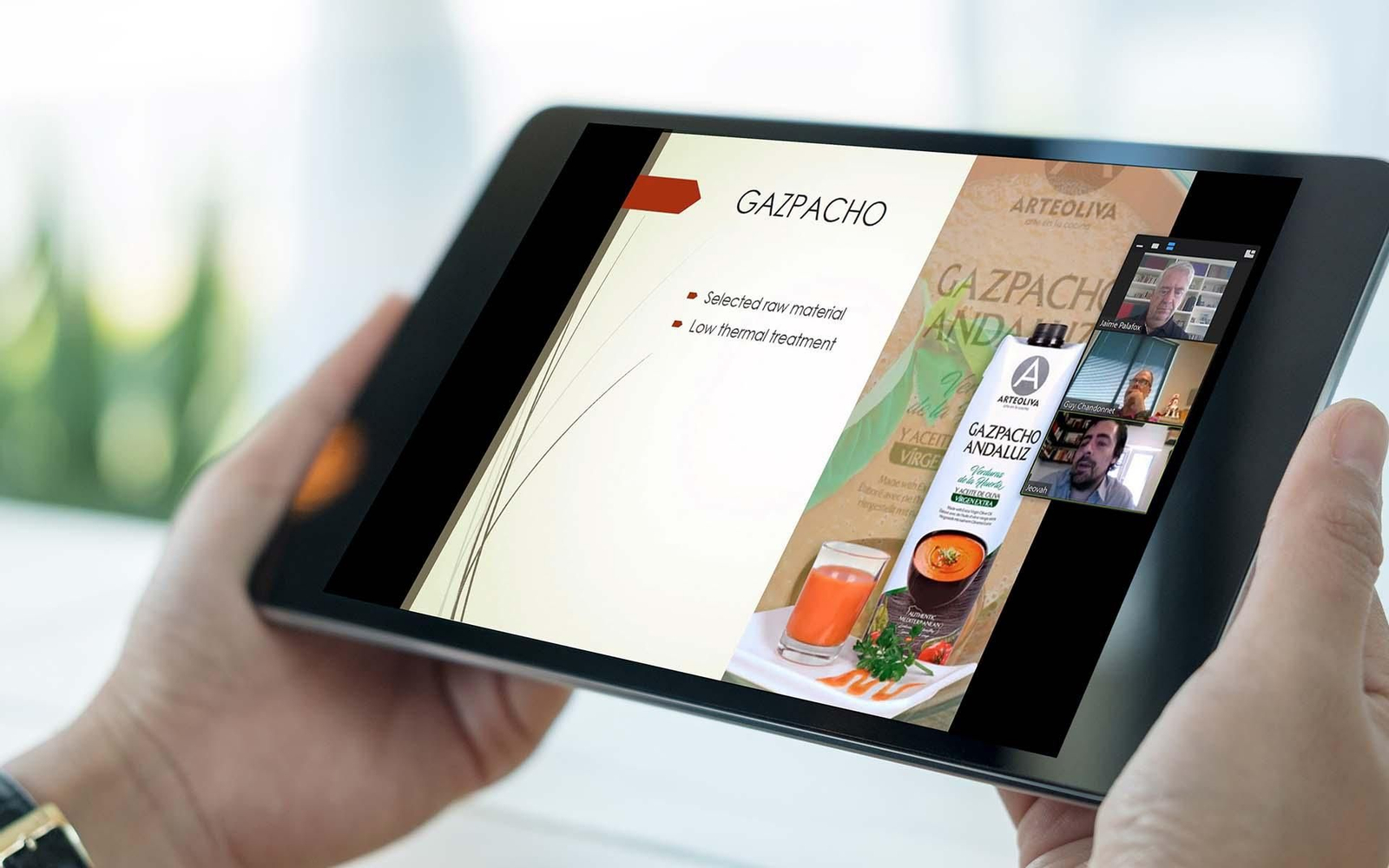 Andalucía Extenda Texas web