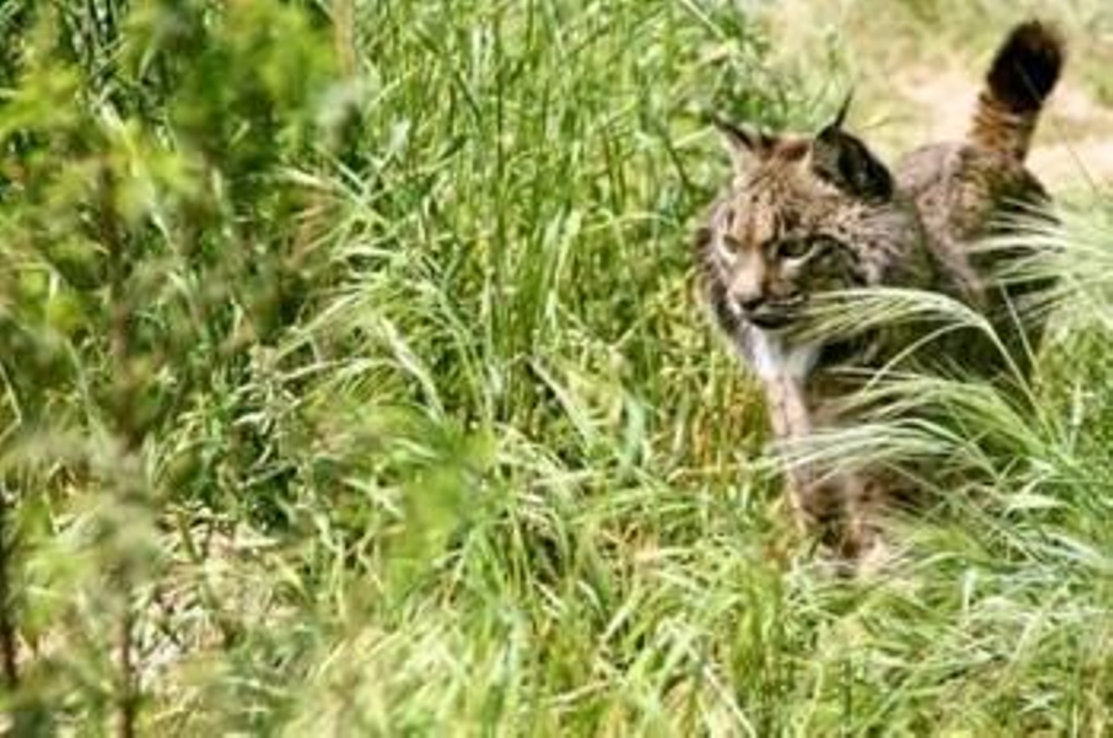 Foto: EUROPA PRESS/ARCHIVO/JUNTA DE ANDALUCIA