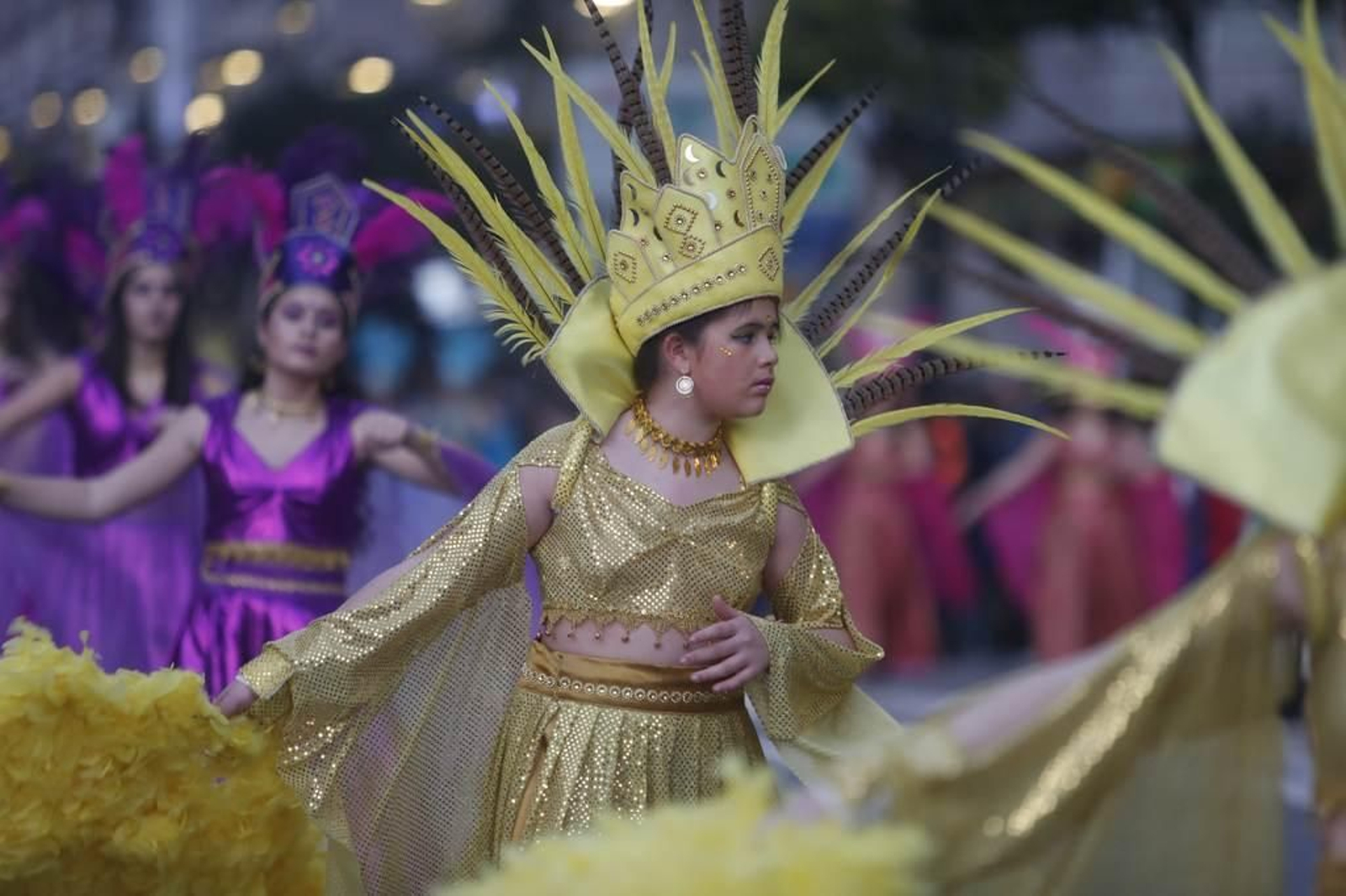 Desfile del Entroido en Vigo 221