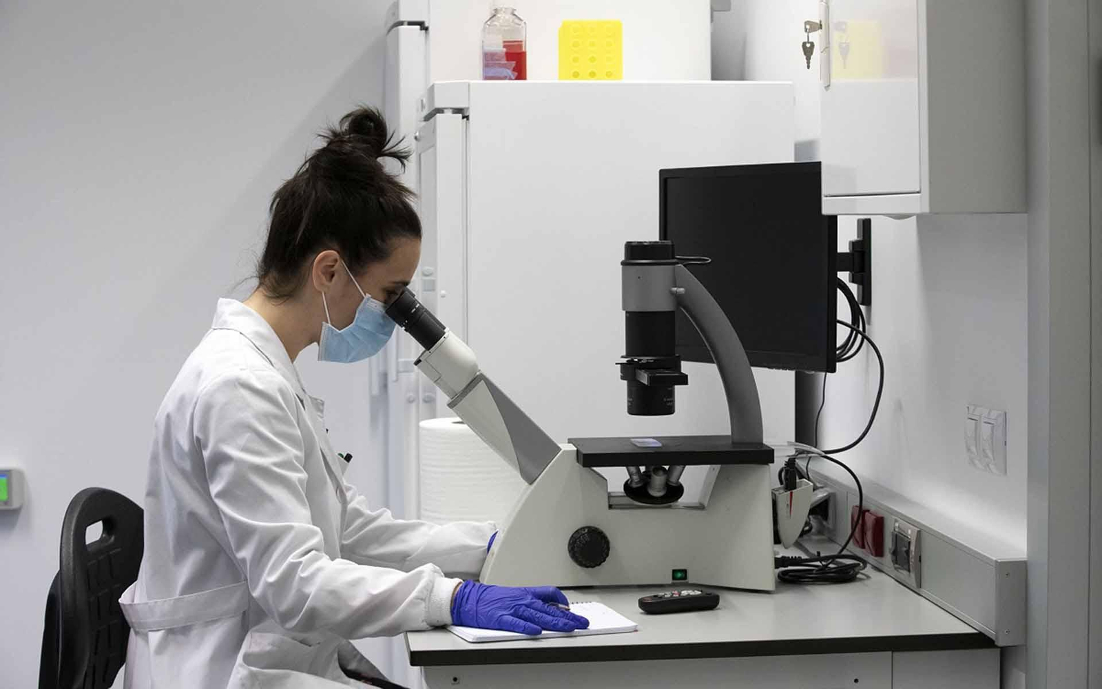 Esta iniciativa forma parte de la Estrategia Galicia Retorna, para impulsar el retorno de los gallegos y gallegas del exterior a nuestra comunidad autónoma