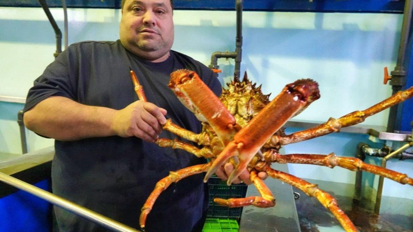 En el interior de O Berbés se encuentran los viveros, como el de la foto. José de Bouzón, con crustáceos -buey y centolla- traídos vivos en camiones de Irlanda o Francia y también de la Ría, que cotizan a un precio diez veces superior