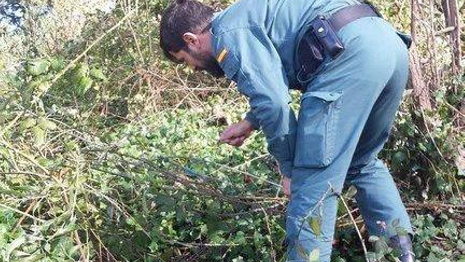 Los agentes peinaron los montes buscando al detenido.