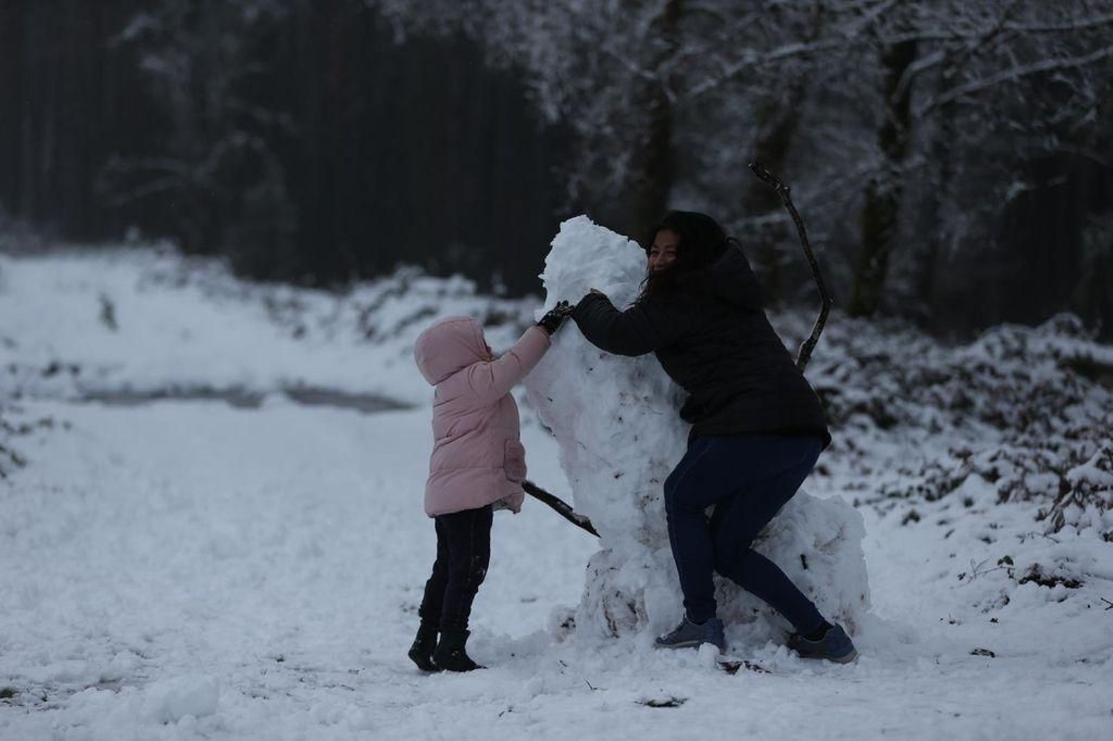 La nieve cubre el Alto de Fontefría // Alberte