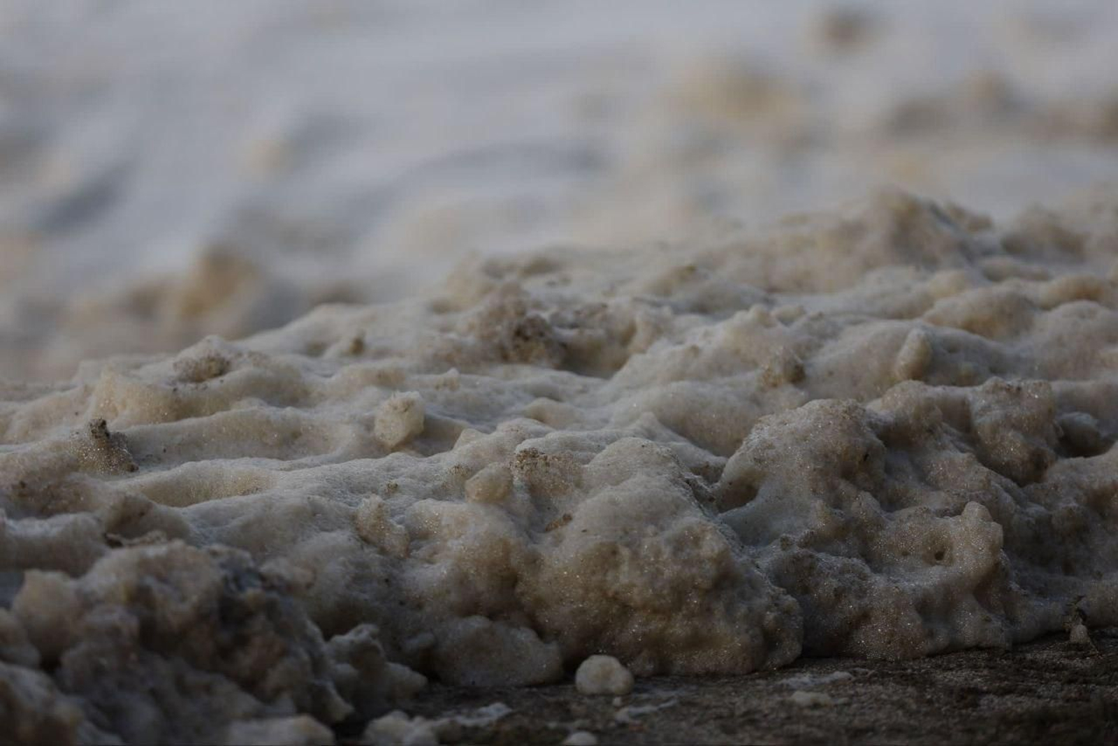 El fenómeno de la espuma aflora por la borrasca.