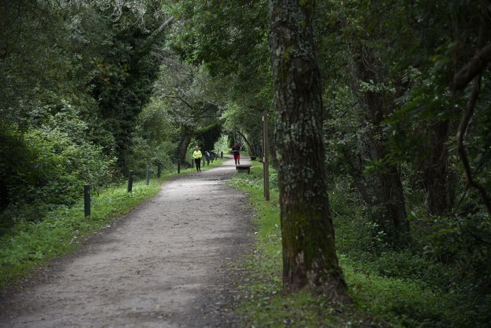 El proyecto permitirá completar la senda del Lagares desde Samil hasta la Avenida de Madrid.