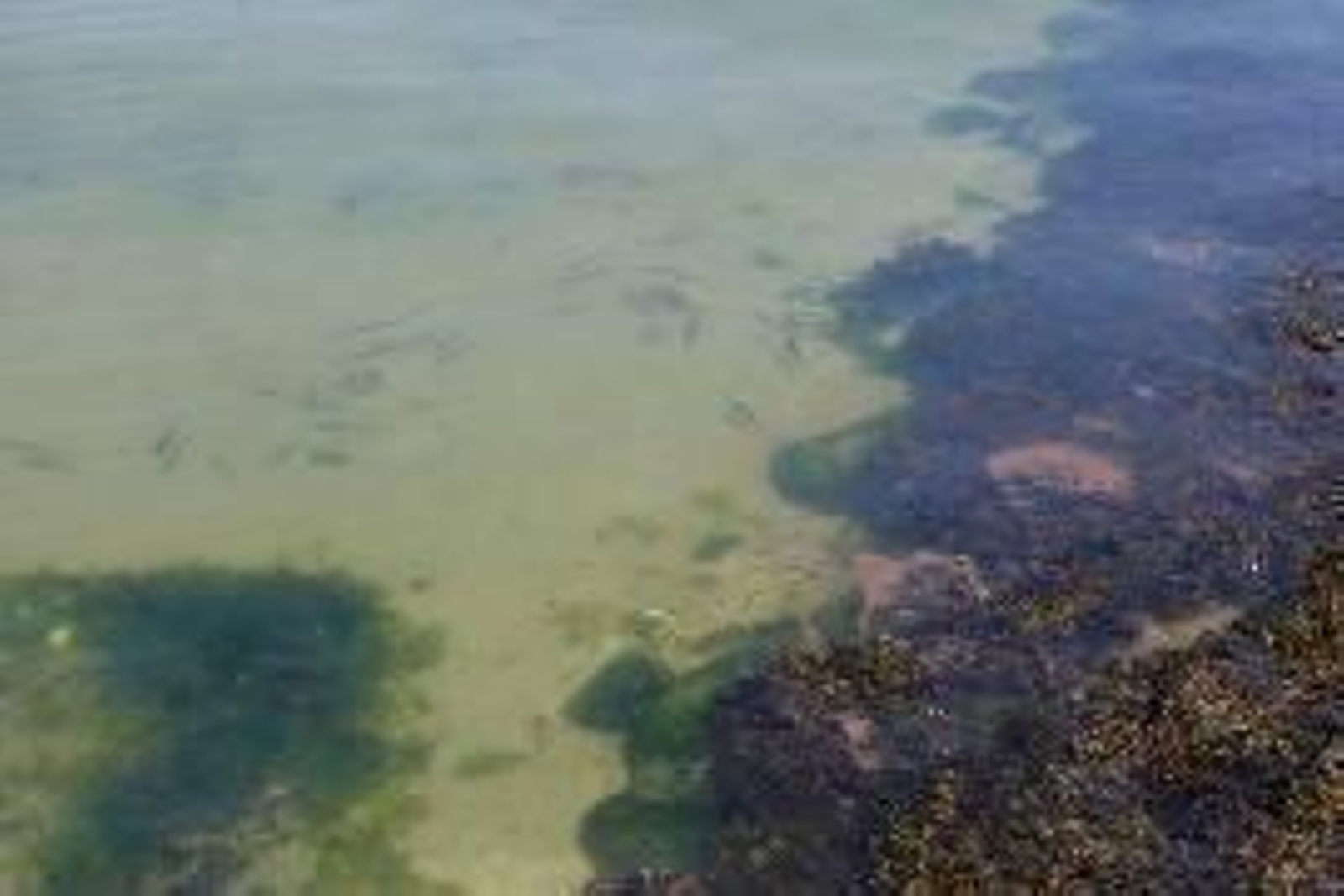 Vista de un río en el que se registraron vertidos.