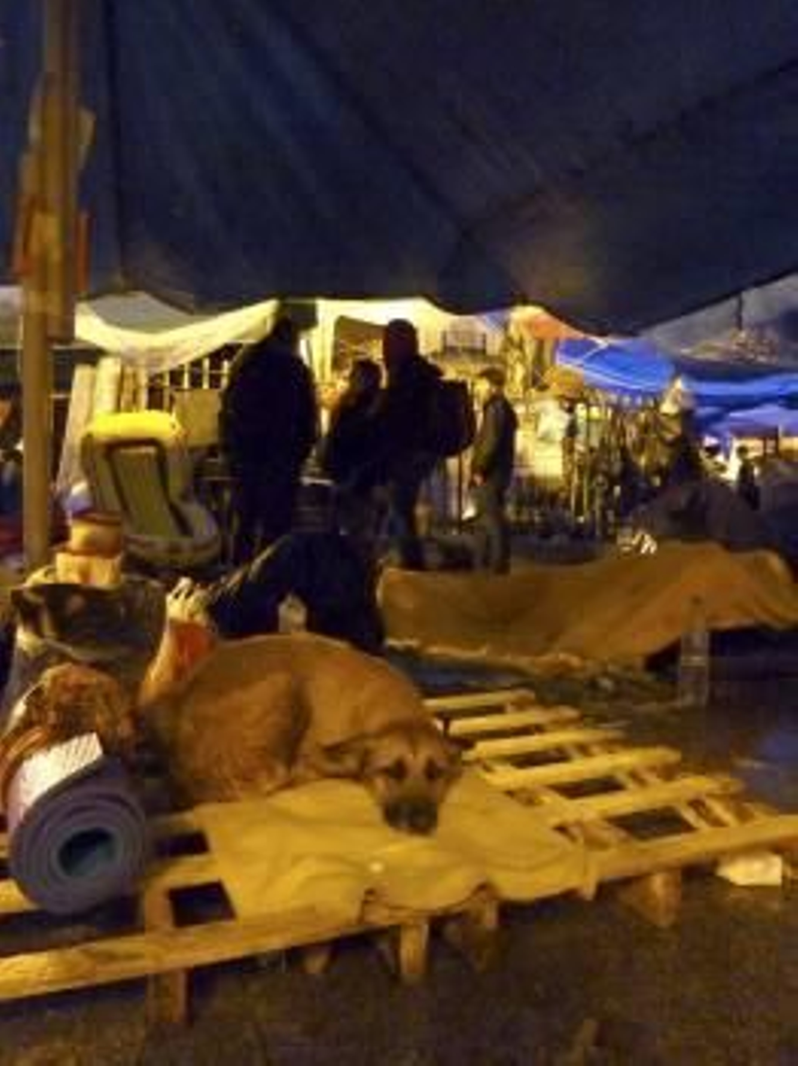 Miles de personas permanecen en la madrileña Puerta del Sol al amancer. (Foto: PABLO TALAMANCA)