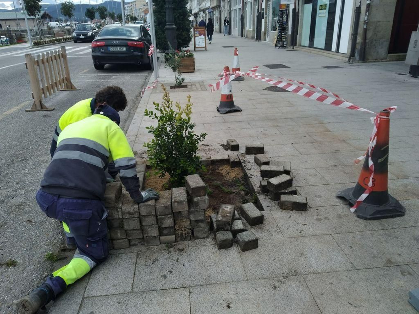 Instalación de árboles y plantas en Elduayen.