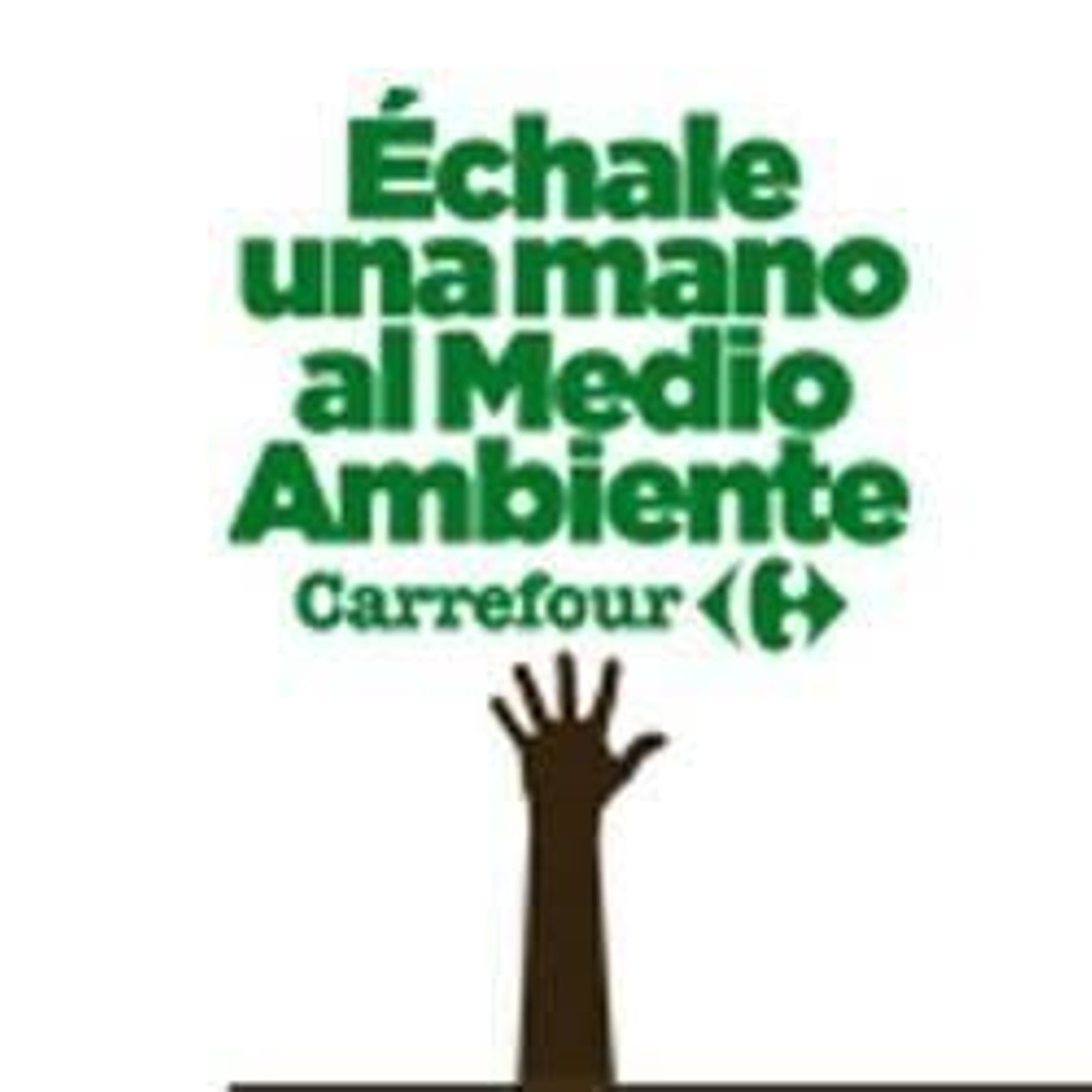 Las bolsas de plástico ya  han sido suprimidas en Carrefour.