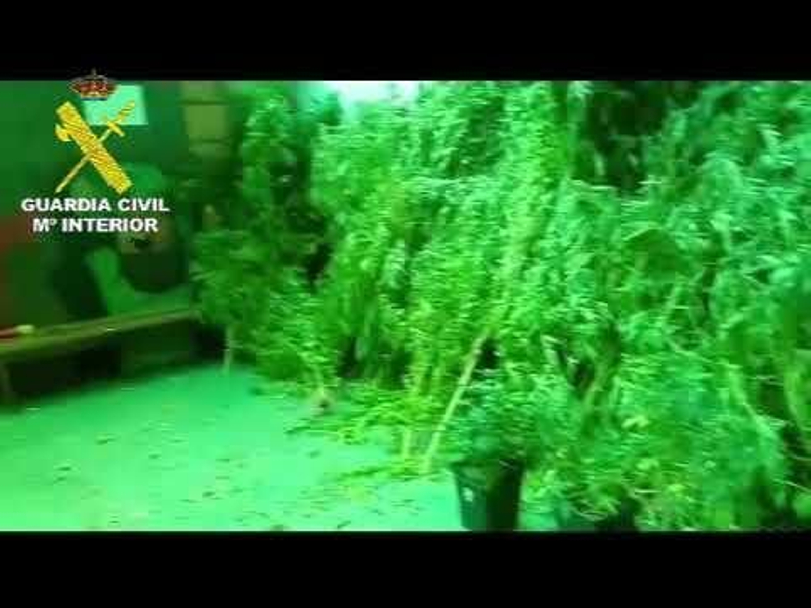 Investigados cuatro vecinos de Arbo por tráfico de drogas