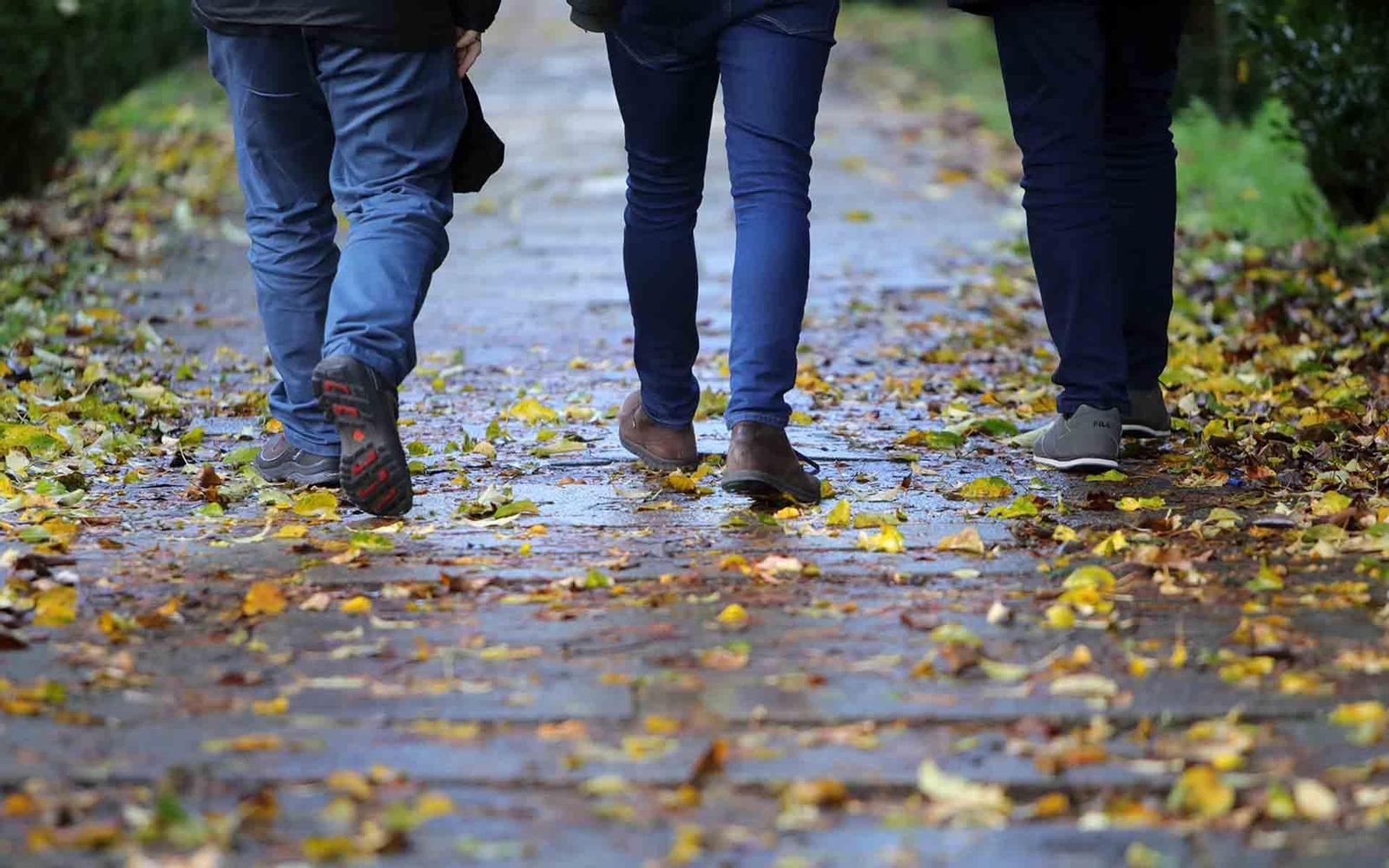 El programa Aprol Rural es una de las más de medio cintenar de medidas que integran la Estrategia Galicia Retorna