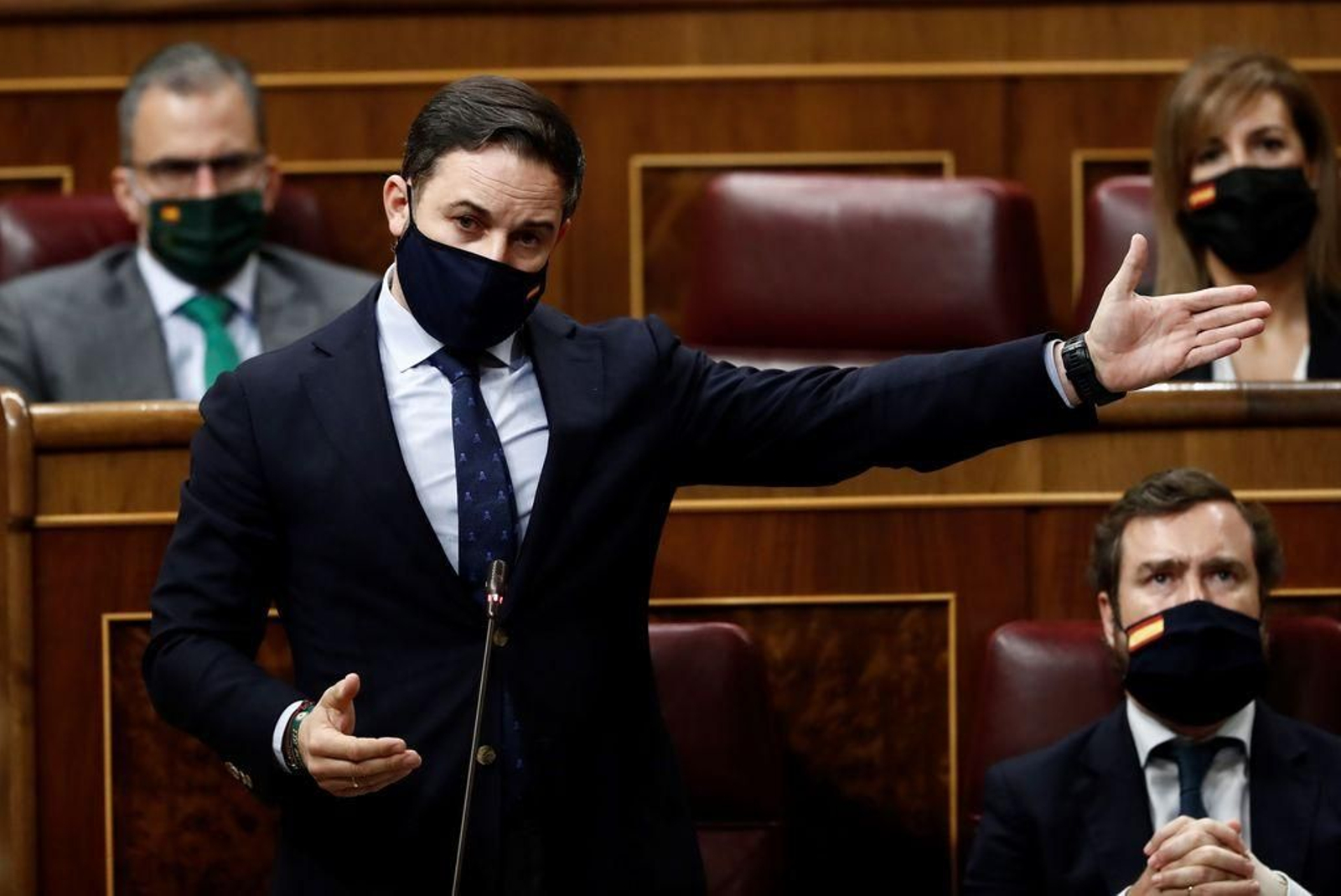 Abascal, en una de sus intervenciones el pasado día 14, en la sesión de control al Gobierno.
