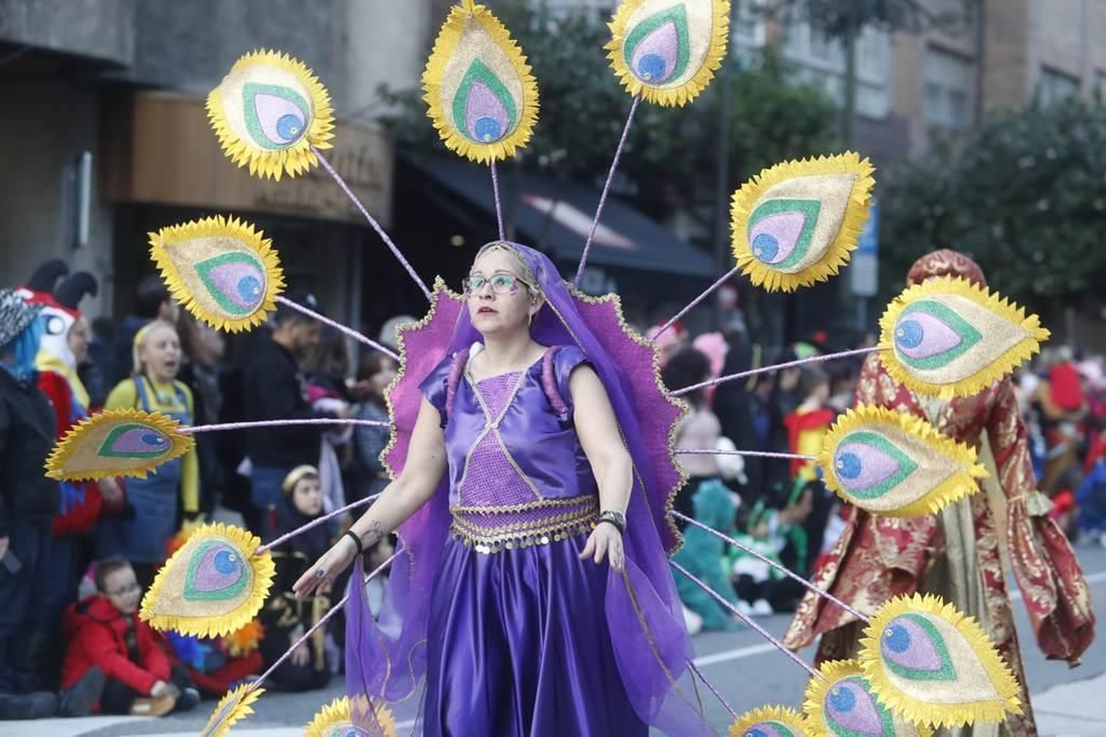 Desfile del Entroido en Vigo 355