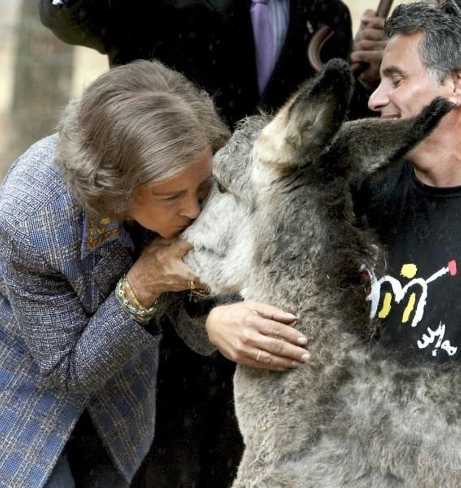 La reina Sofía besa al burrito 'Lluvia'. (Foto: Olga Labrador)