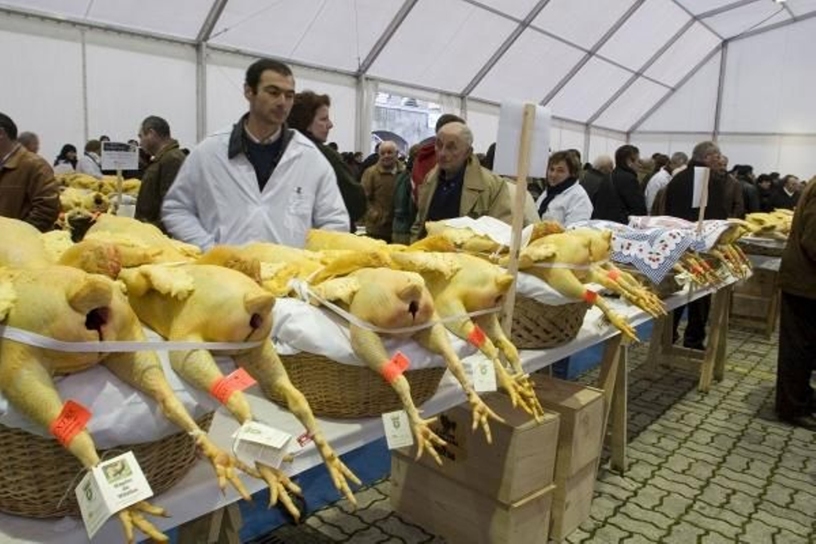 Algunos de los capones expuestos en la tradicional feria de Villalba. (Foto: Eliseo Trigo)