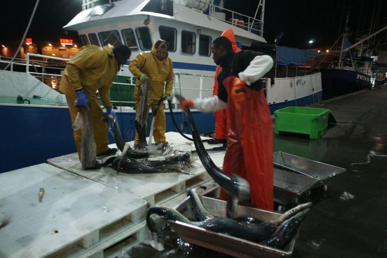 En lo que va de año, la descarga de pescado ha aumentado en el puerto de Vigo en más de 2.000 toneladas.