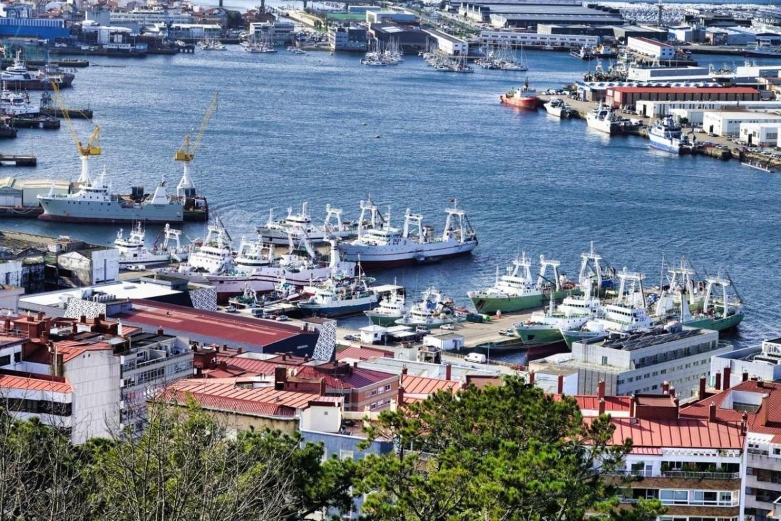 Barcos arrastreros de la flota de altura amarrados en el puerto pesquero de O Berbés.