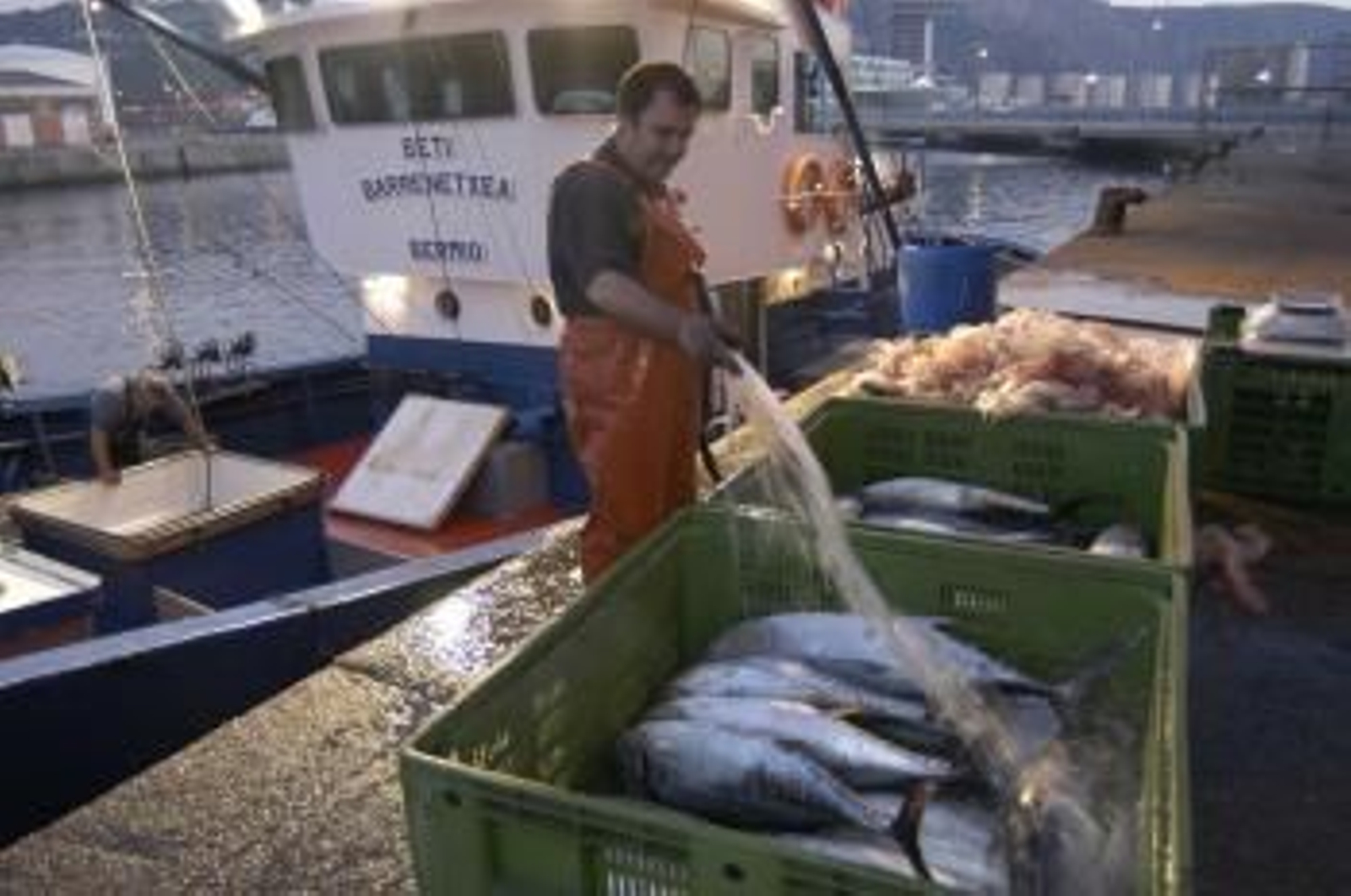 La Conferencia Sectorial de Pesca, reunida este lunes bajo la presidencia del ministro de Agricultura, Alimentación y Medio Ambiente, Miguel Arias Cañete, ha acordado la distribución de 68,2 millones de euros entre las comunidades autónomas