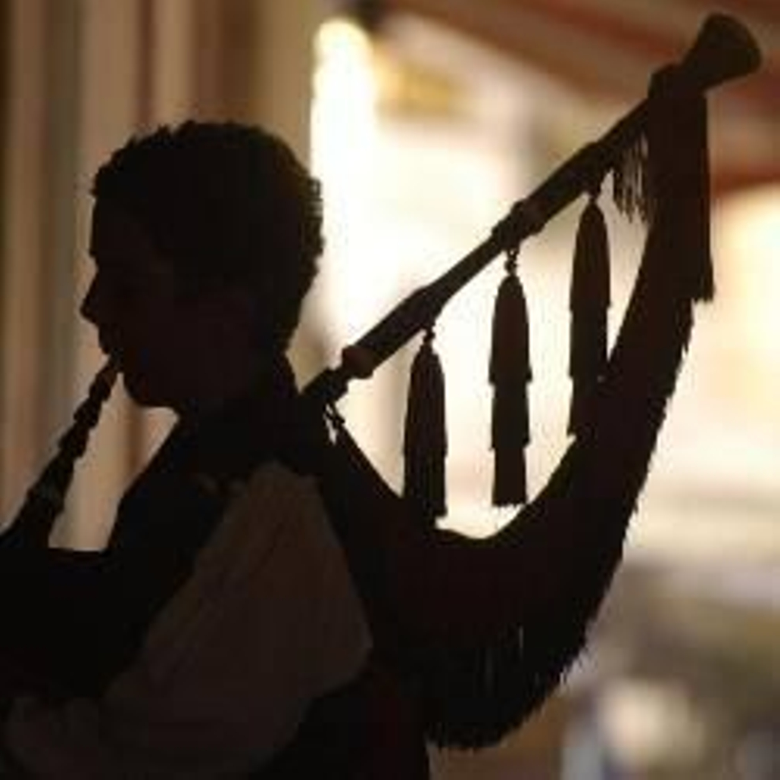 Mayores controles de las obras que registran, petición de los músicos a la SGAE.