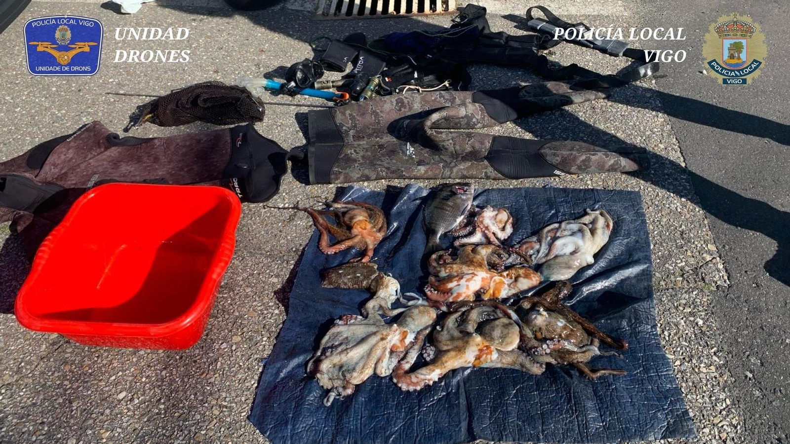 Pulpo y pescado requerido a los furtivos. // Unidad de drones