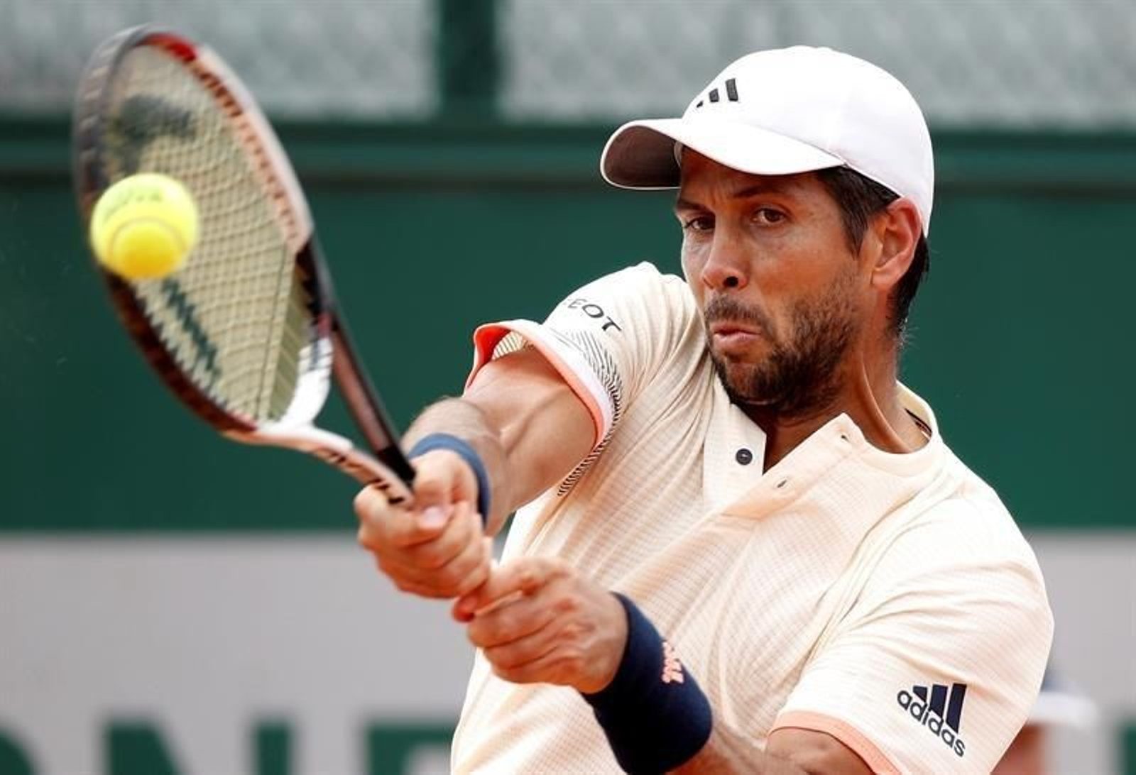 El tenista español Fernando Verdasco