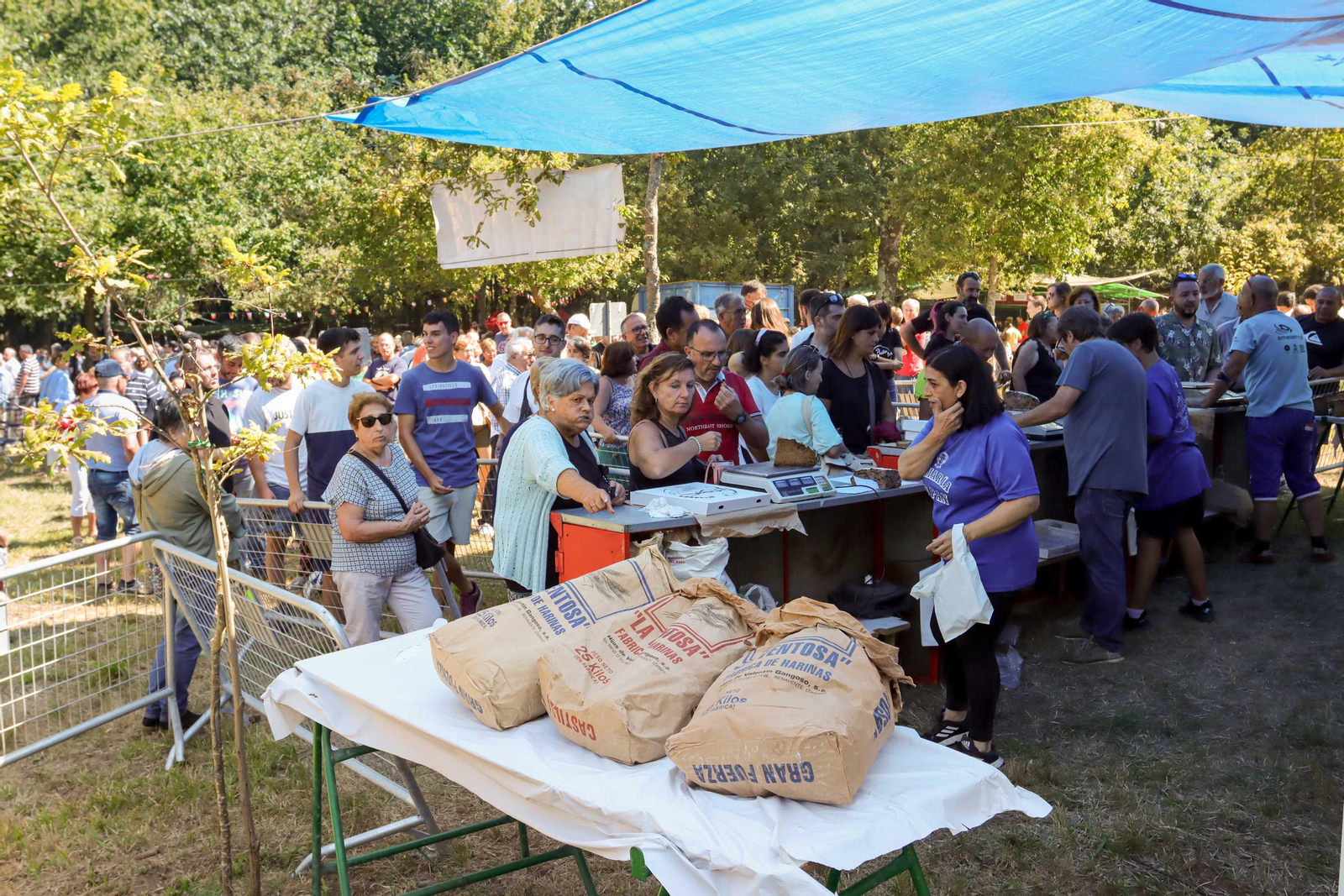 Festa do Pan de Millo de Cabral. Foto J. Santome