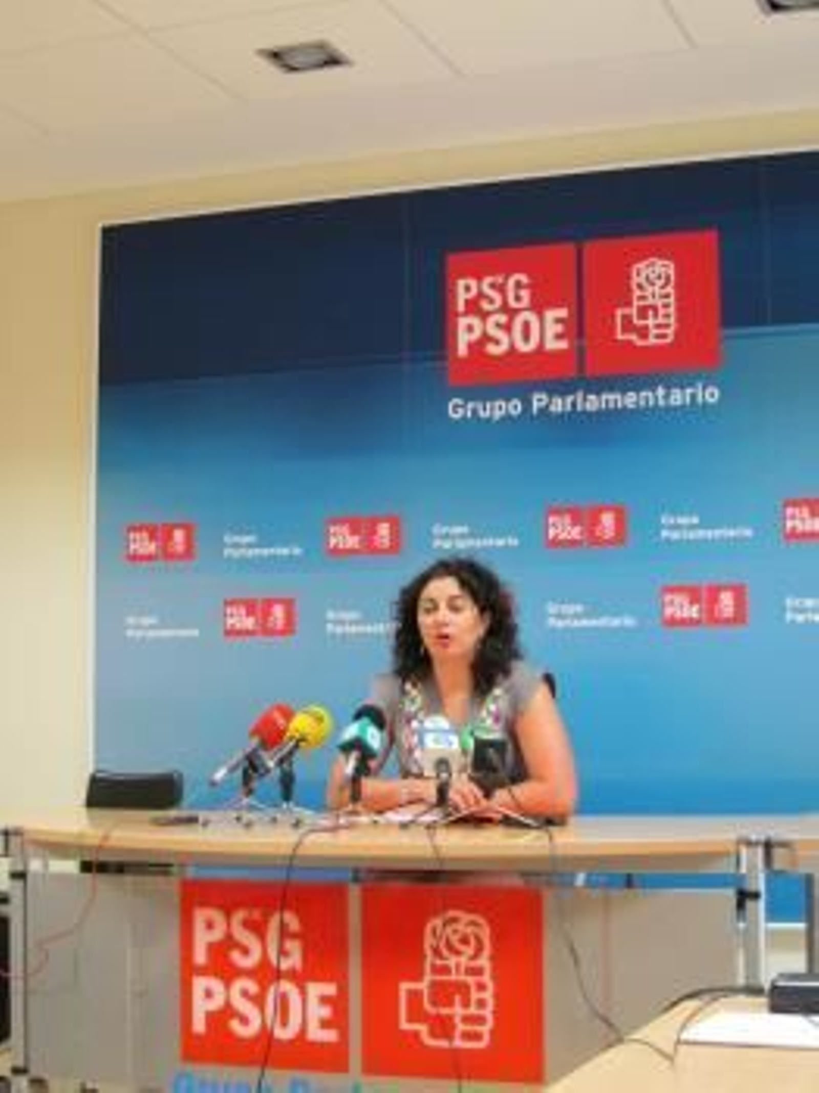 La Diputada Socialista Sonia Verdes