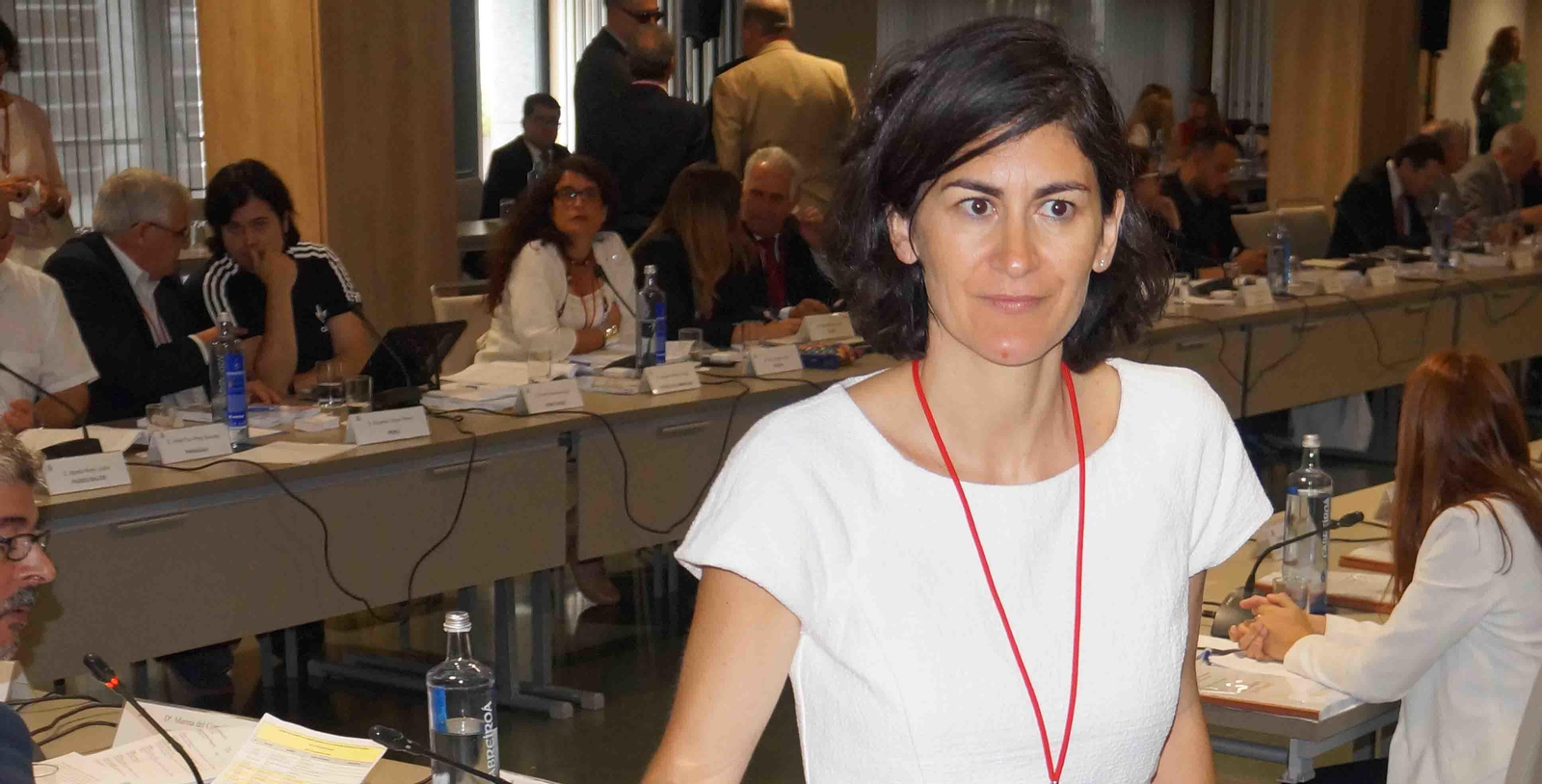 Anna Nadal participando en una votación en el I Pleno del VII Mandato del CGCEE en el que participó como consejera por Nueva York