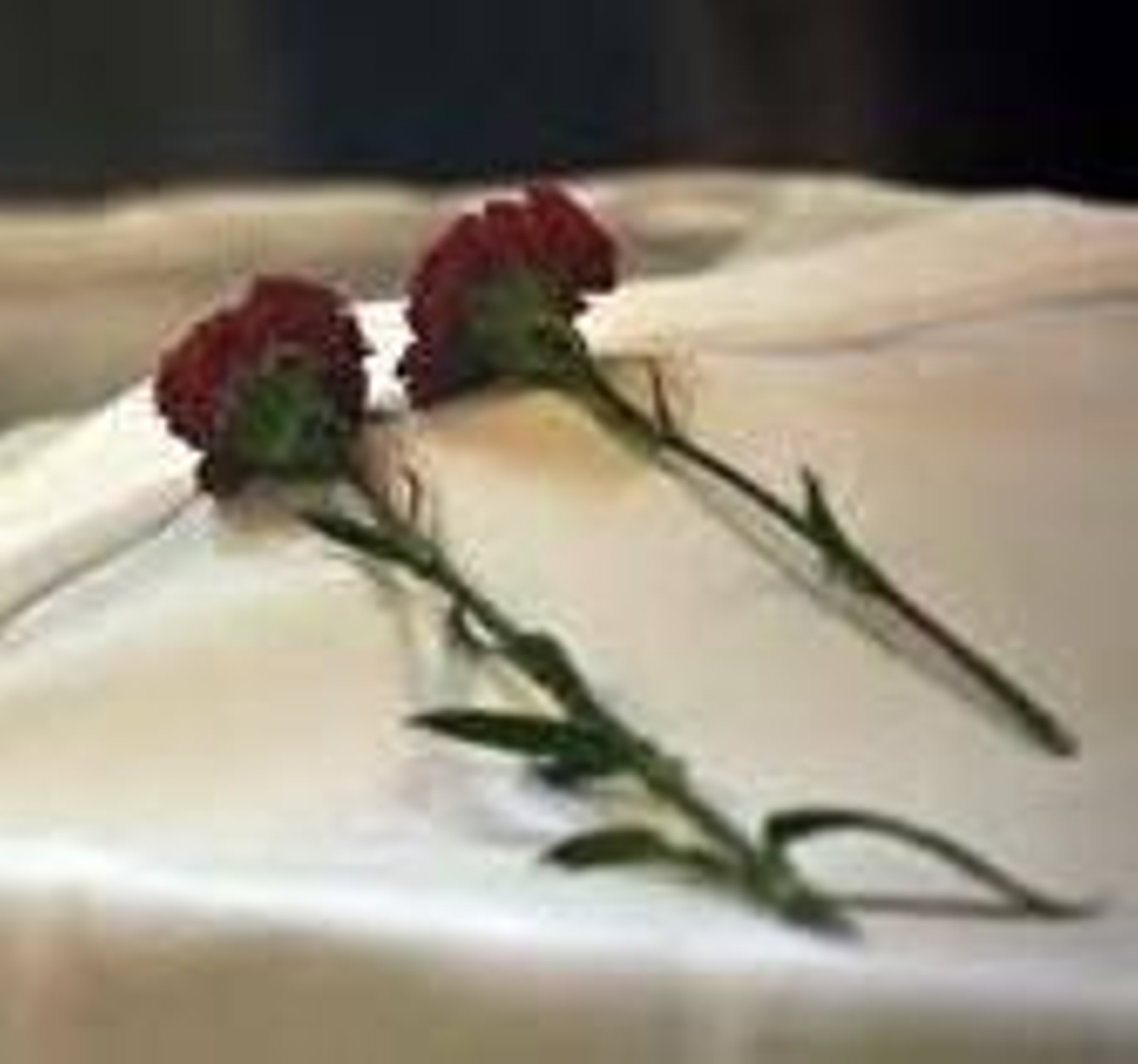 El clavel es la flor elegida, por su larga conservación.