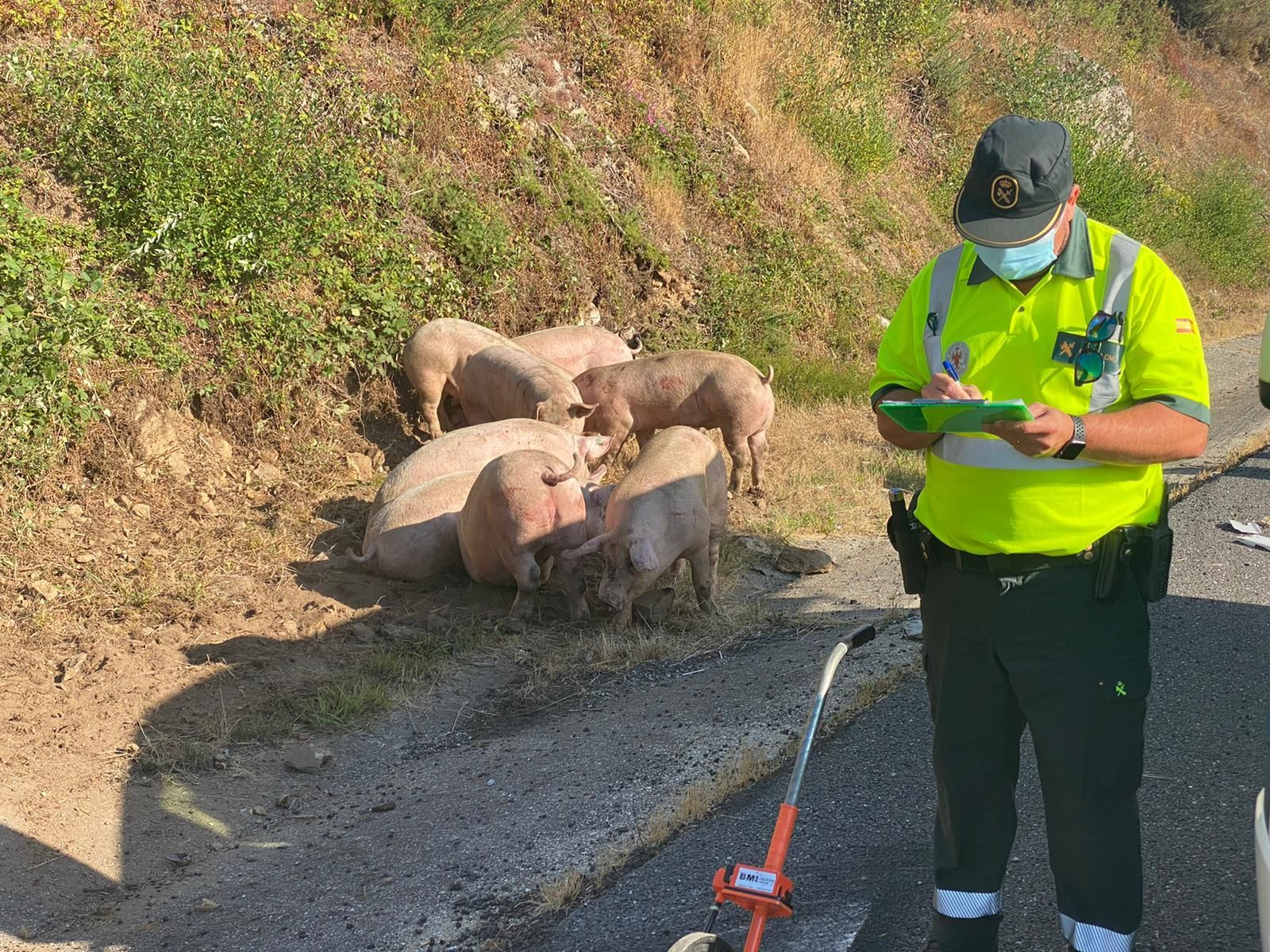 WhatsApp Image 2020-08-14 at 12.25.54 (3)