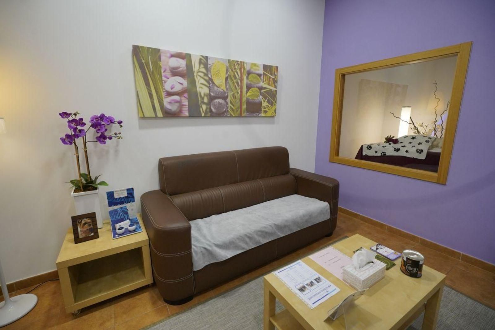 La sala de espera del crematorio, con una ventana para observar al animal fallecido.