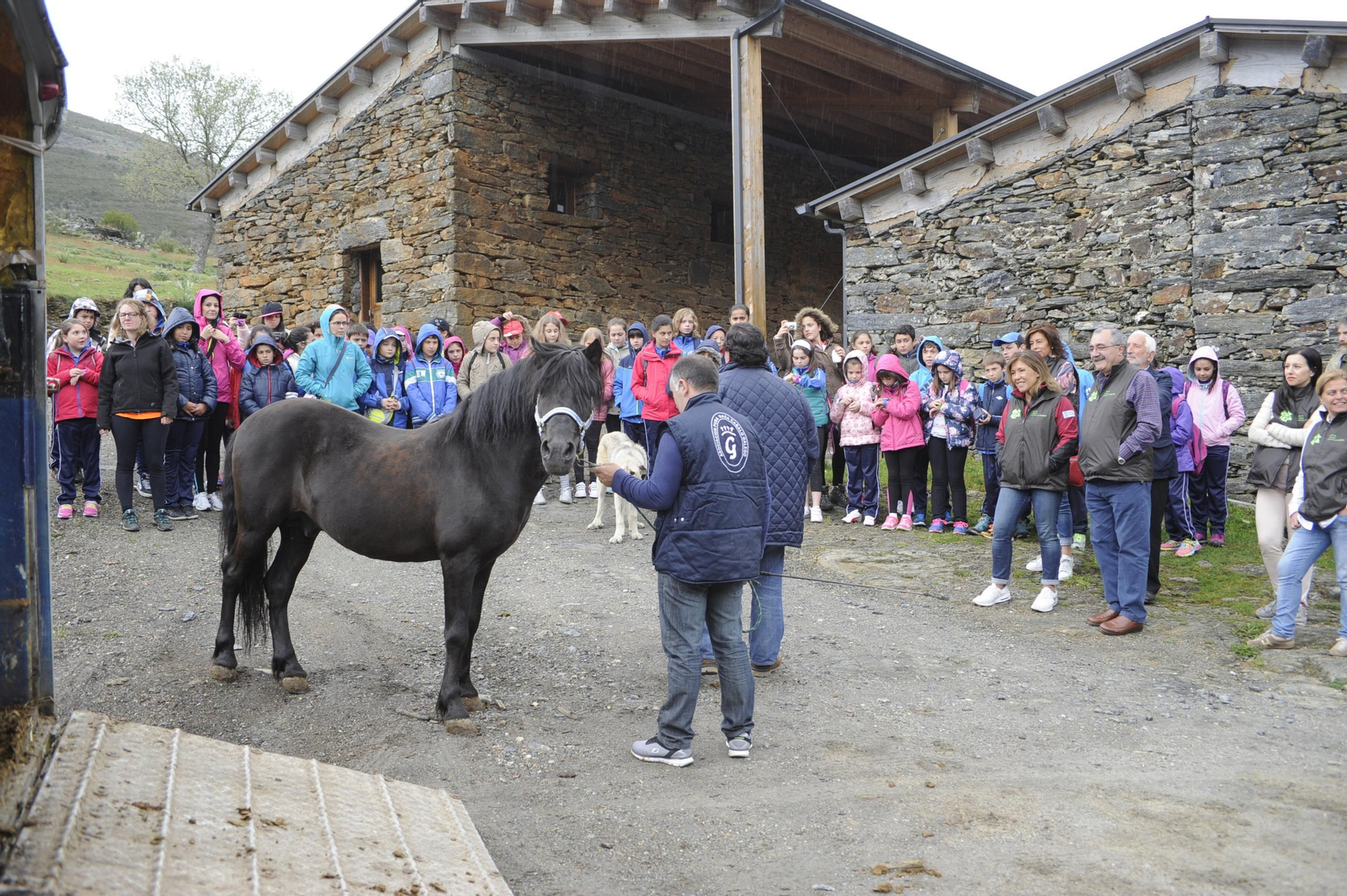 A la derecha, Beatriz Mato, Marisol Díaz y Castor Gago, con los alumnos, presenciando la suelta del potro de pura raza gallega.
