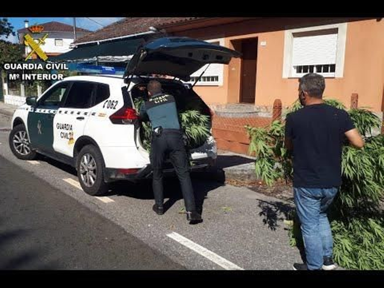 La Guardia Civil desmantela una plantación “indoor” de marihuana en Tui