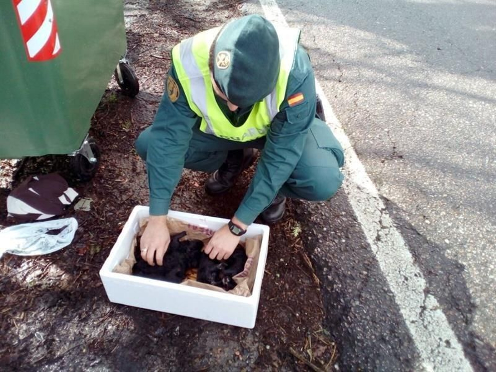 Una patrulla del Seprona de la Guardia Civil ha rescatado con vida a cinco cachorros