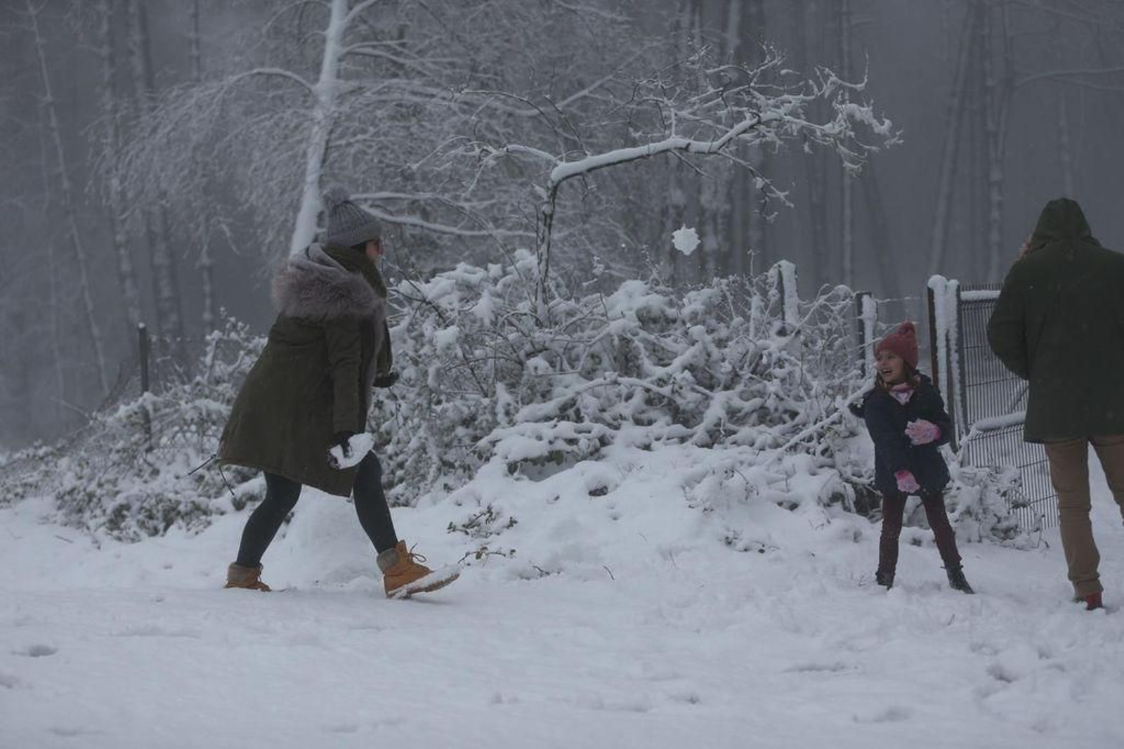 La nieve cubre el Alto de Fontefría // Alberte