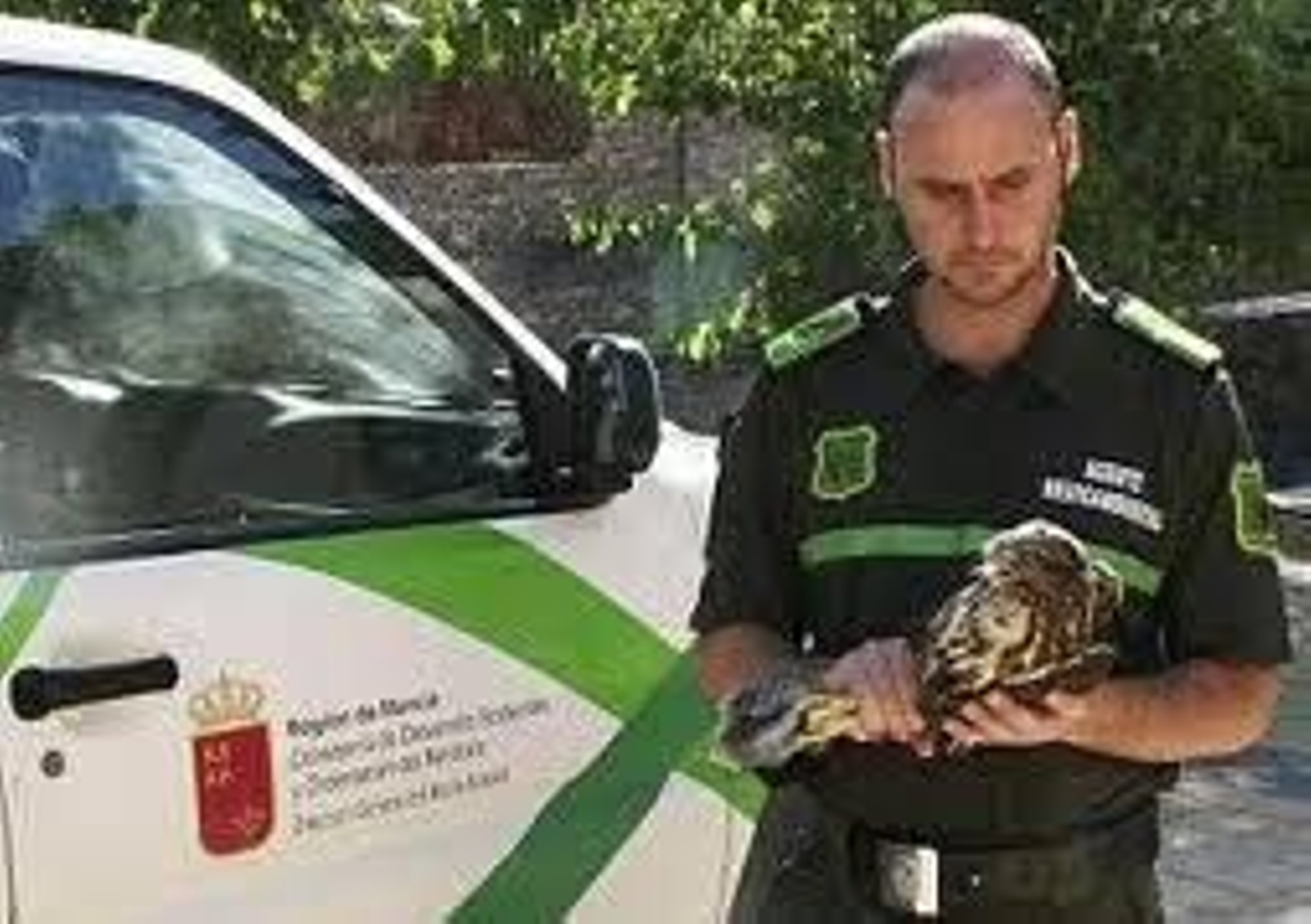 Un trabajador medioambiental antes de liberar a un ave.